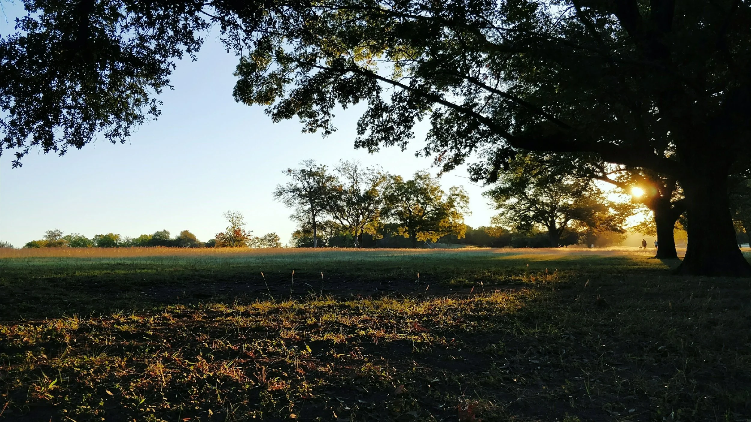 Flag Pole Sunrise.jpg