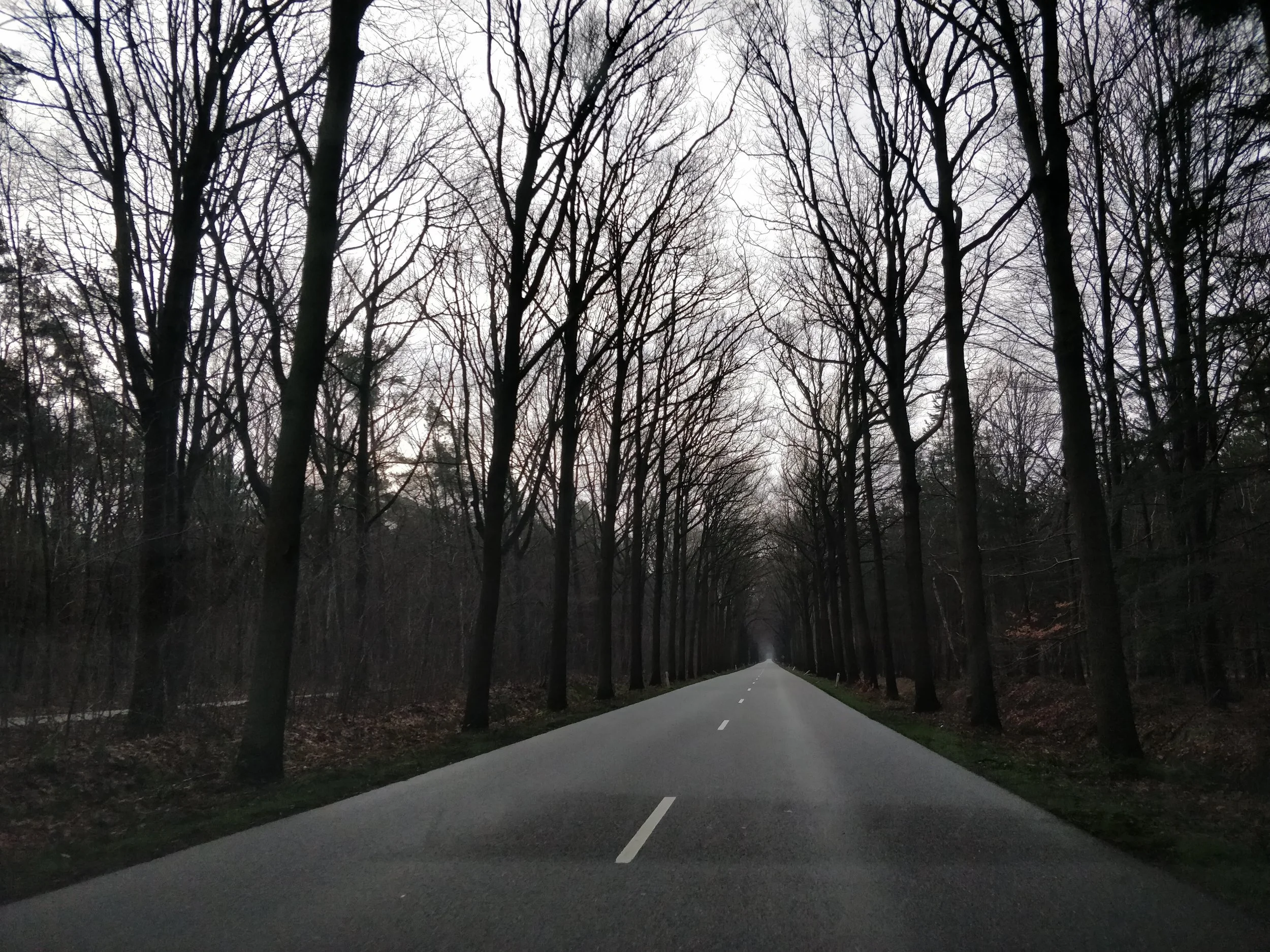 The road to Hoogerheide
