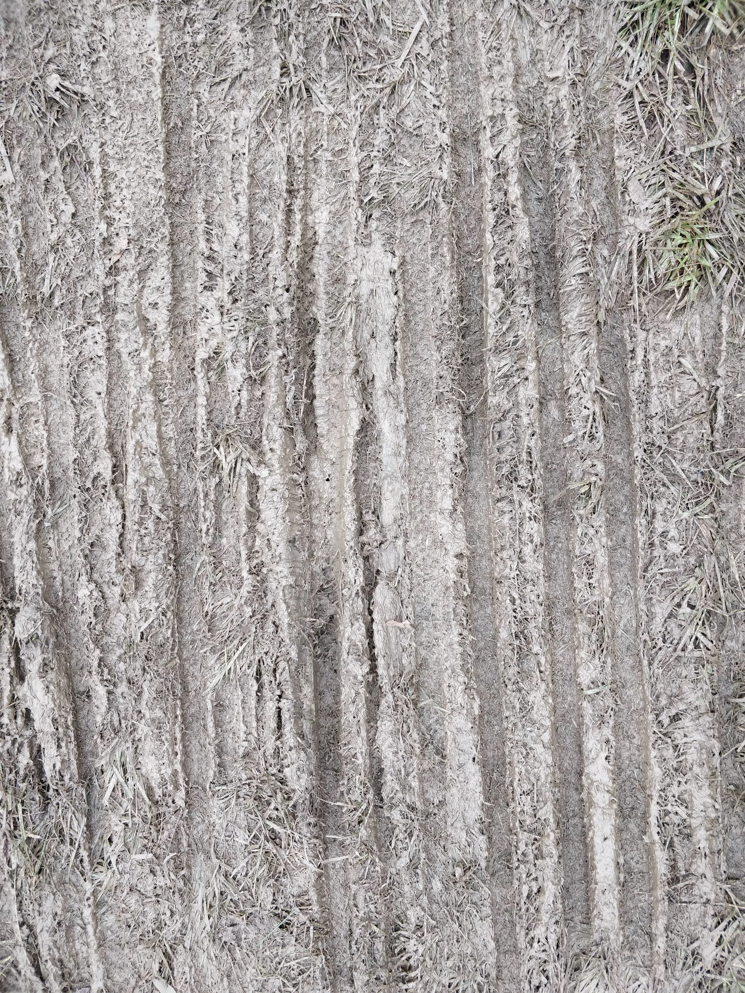 name that mud!
