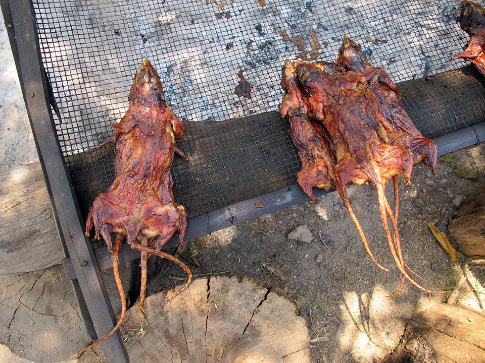 site_1404.jpg