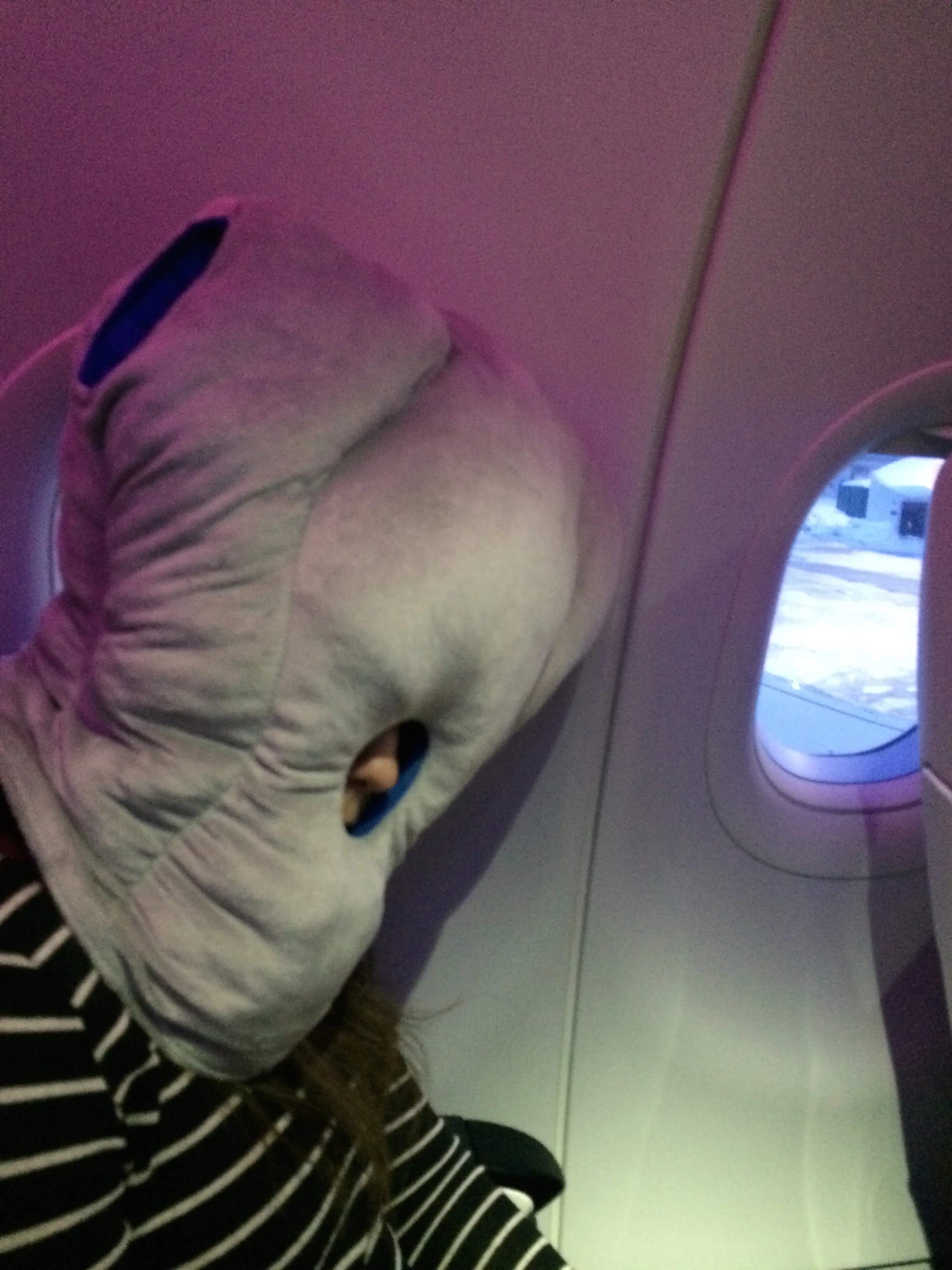 ostrich pillow Blog kate unleashed