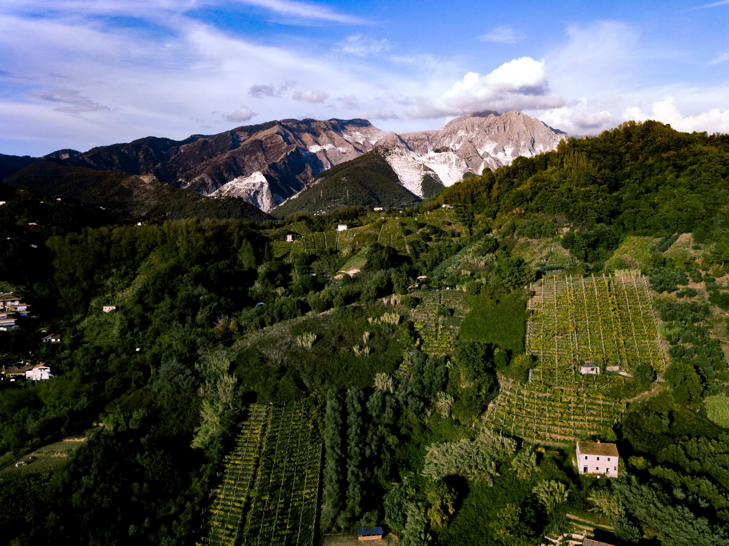 DJI_0088.jpg
