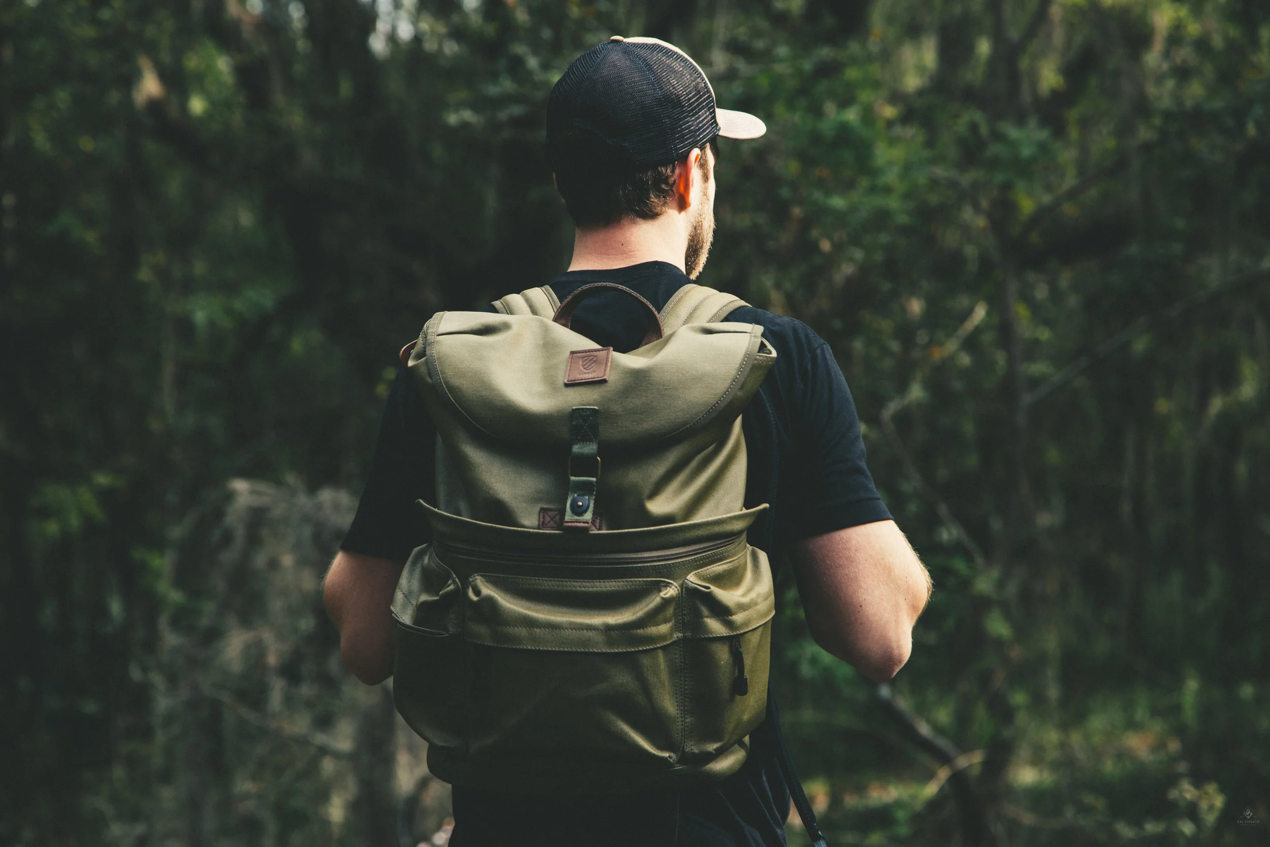 Adventures at Paynes Prairie Preserve & Little Big Econ Forest