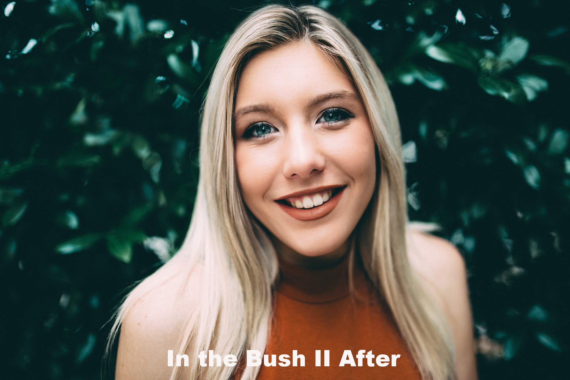 In the Bush 2 After.jpg