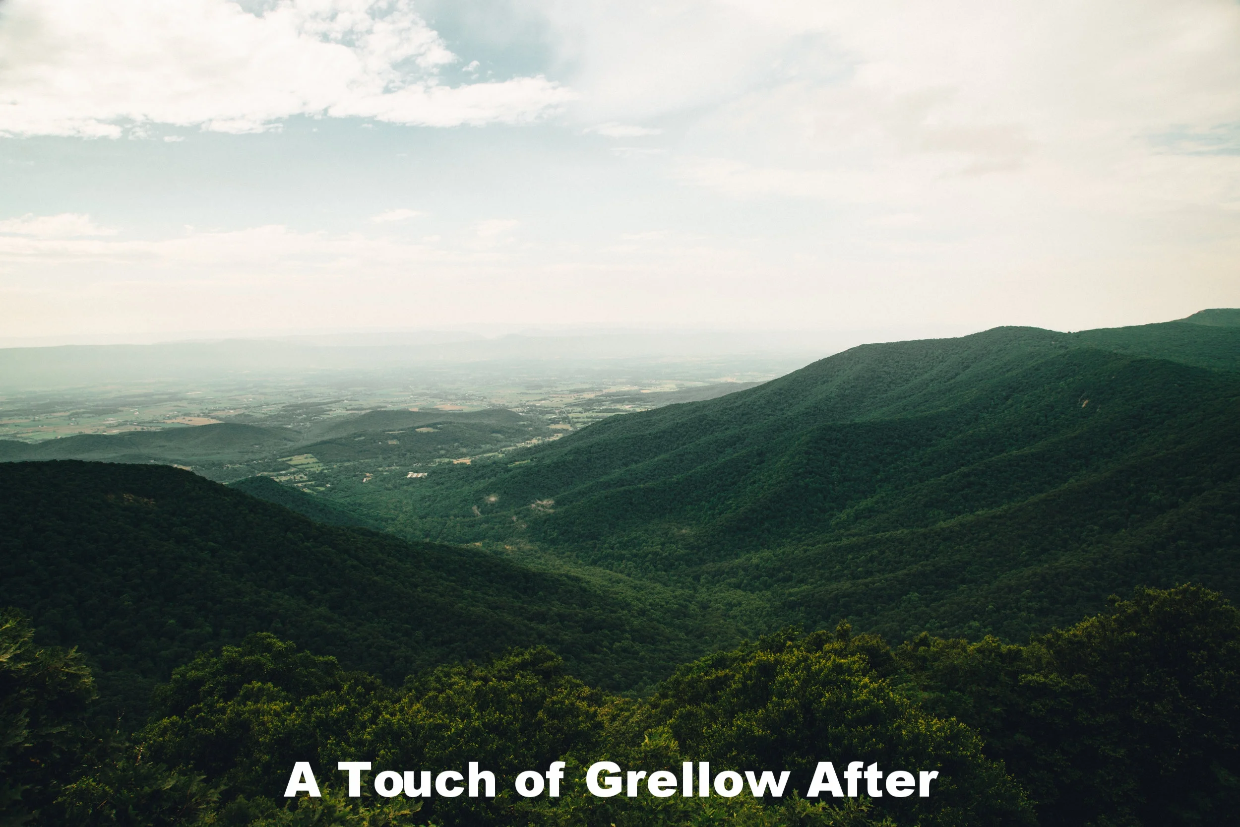 A Tint of Grellow After.jpg
