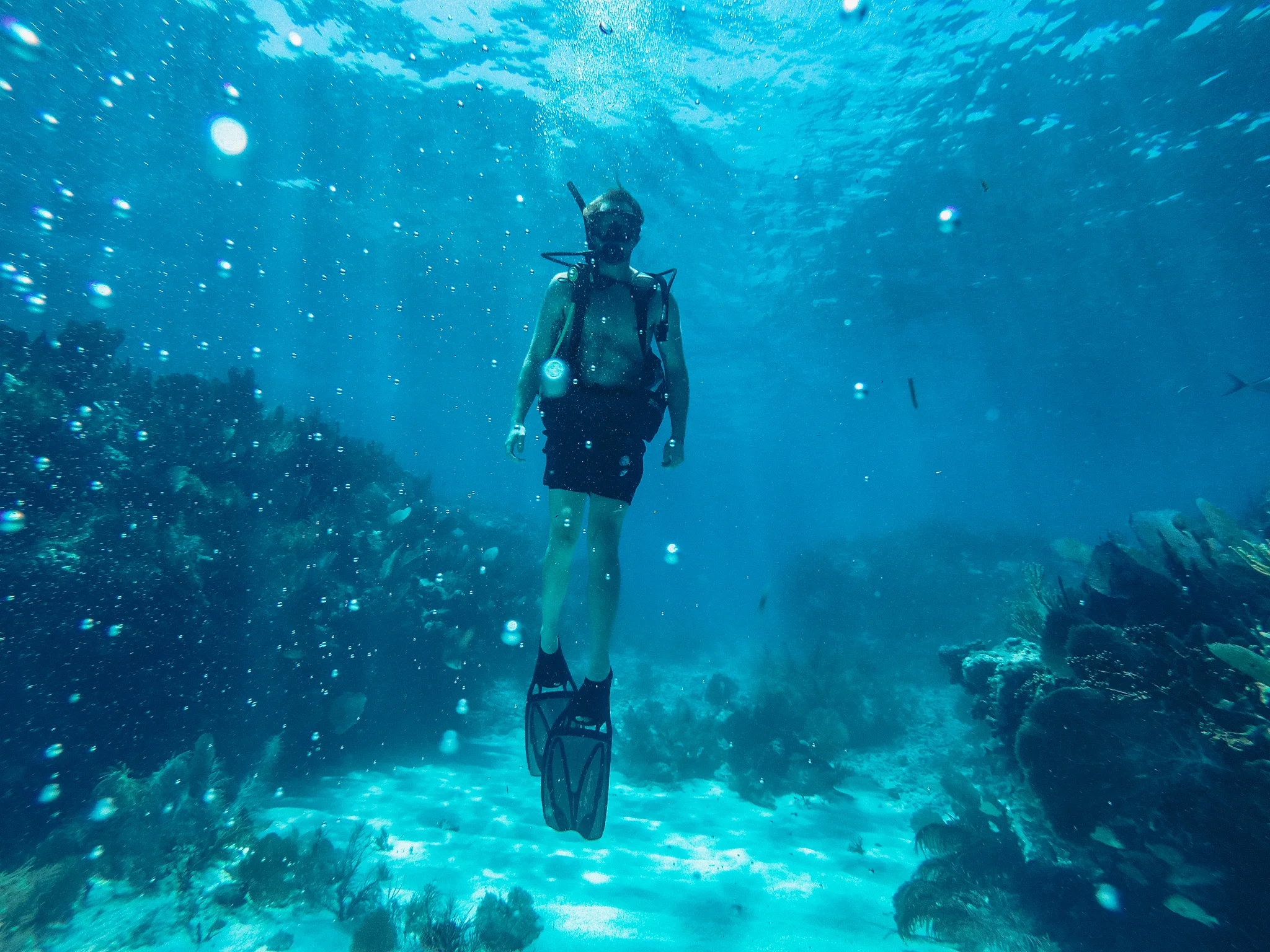 Exploring Underwater in Key West (6/15/17)