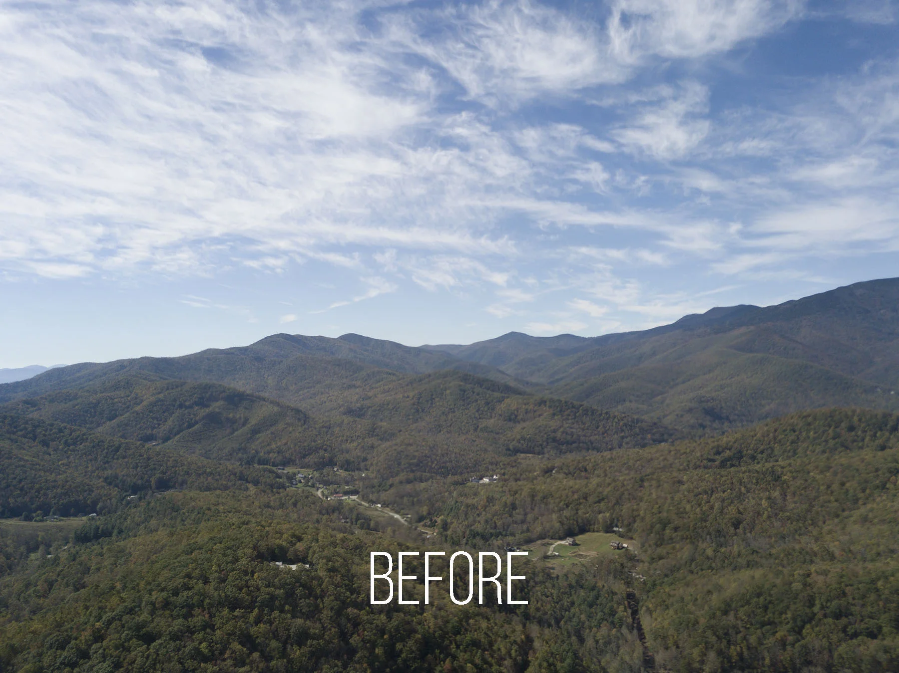 Above the Canopy Before copy.jpg
