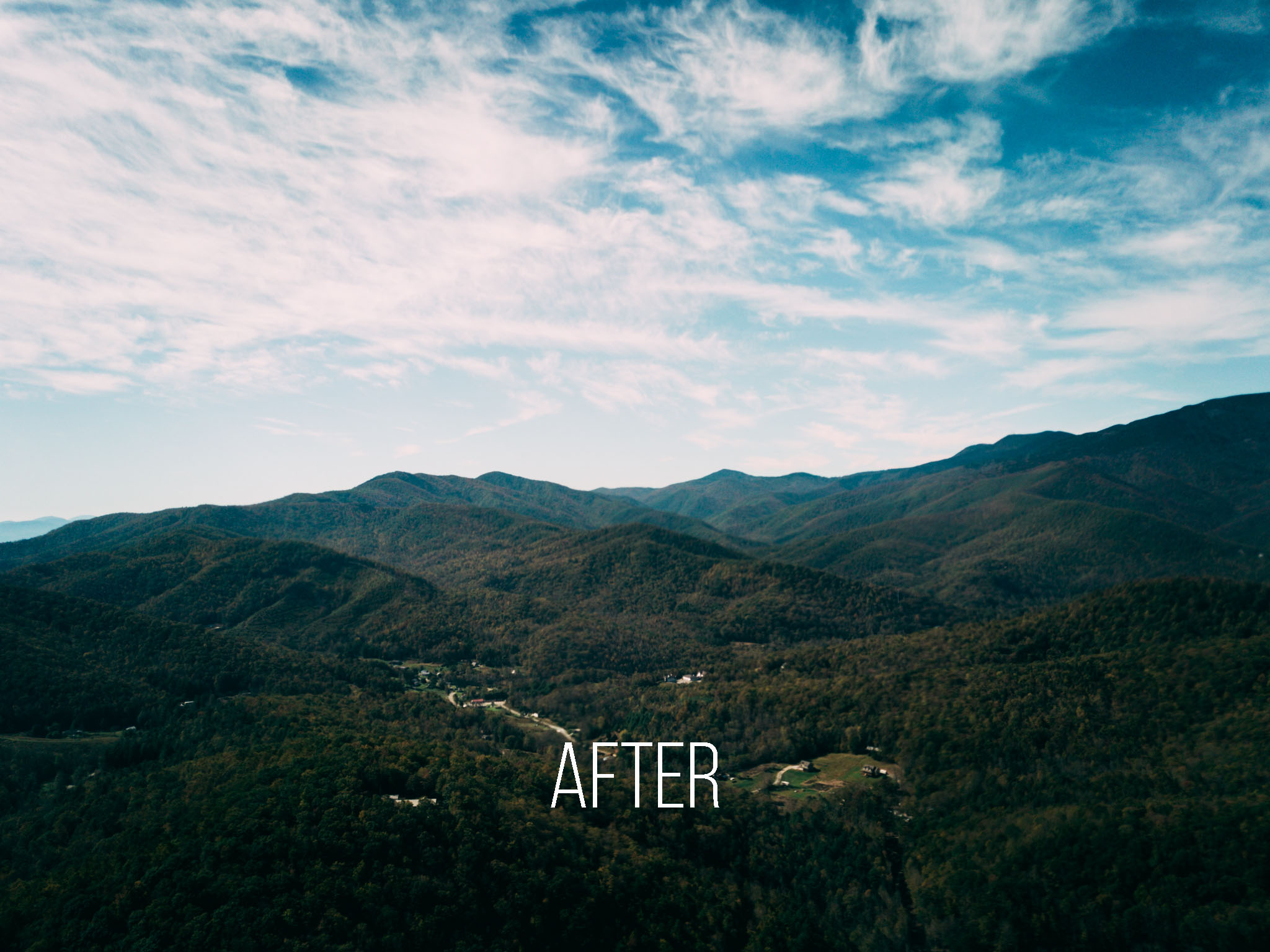 Above the Canopy After copy.jpg