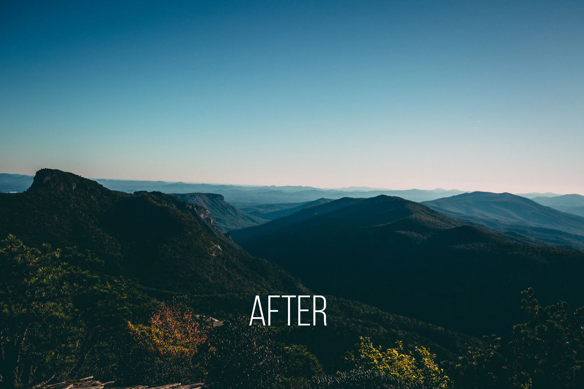 Before the leaves fall after copy.jpg