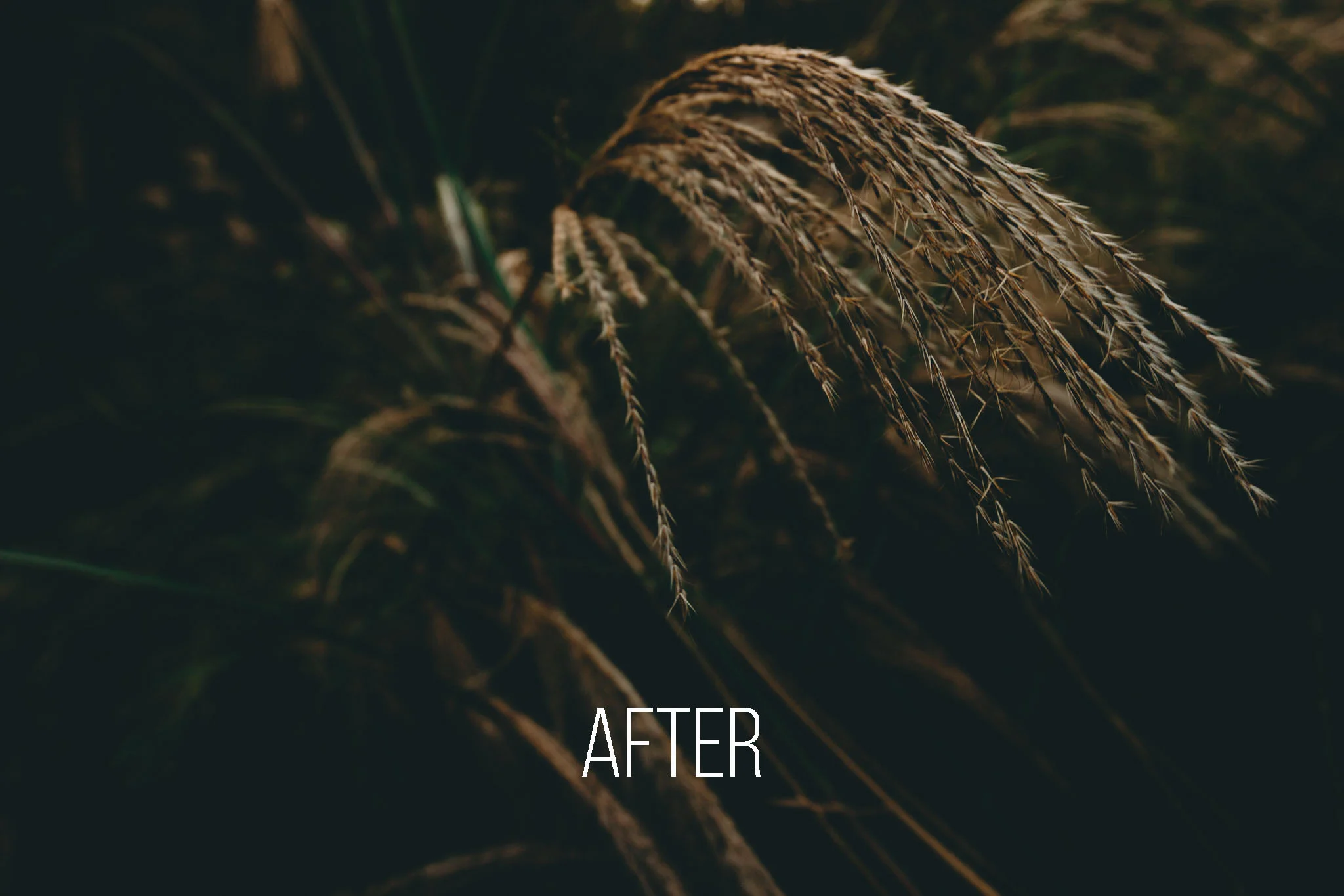 Calm Winds After copy.jpg