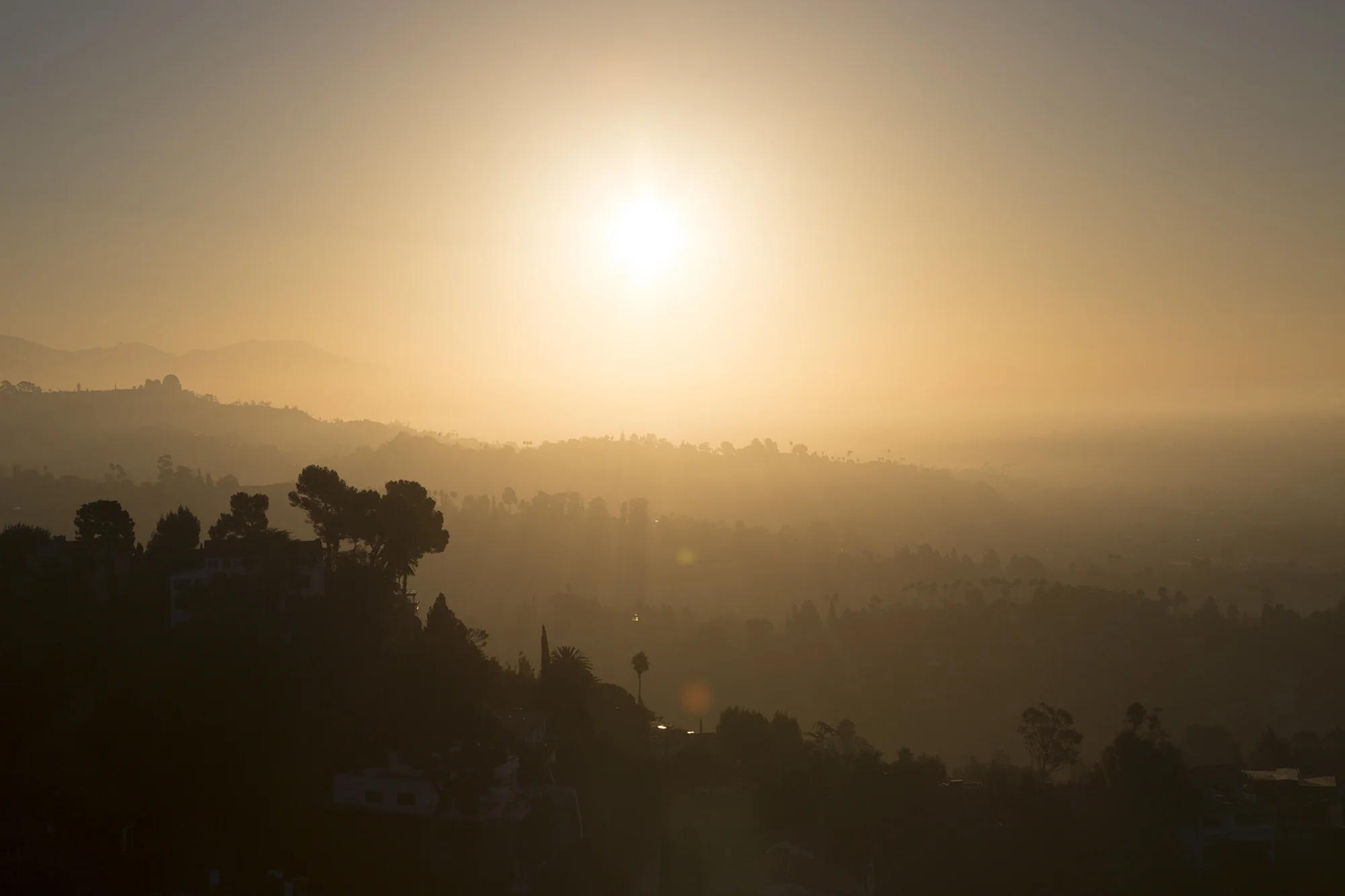 Facing the Sun Before.jpg