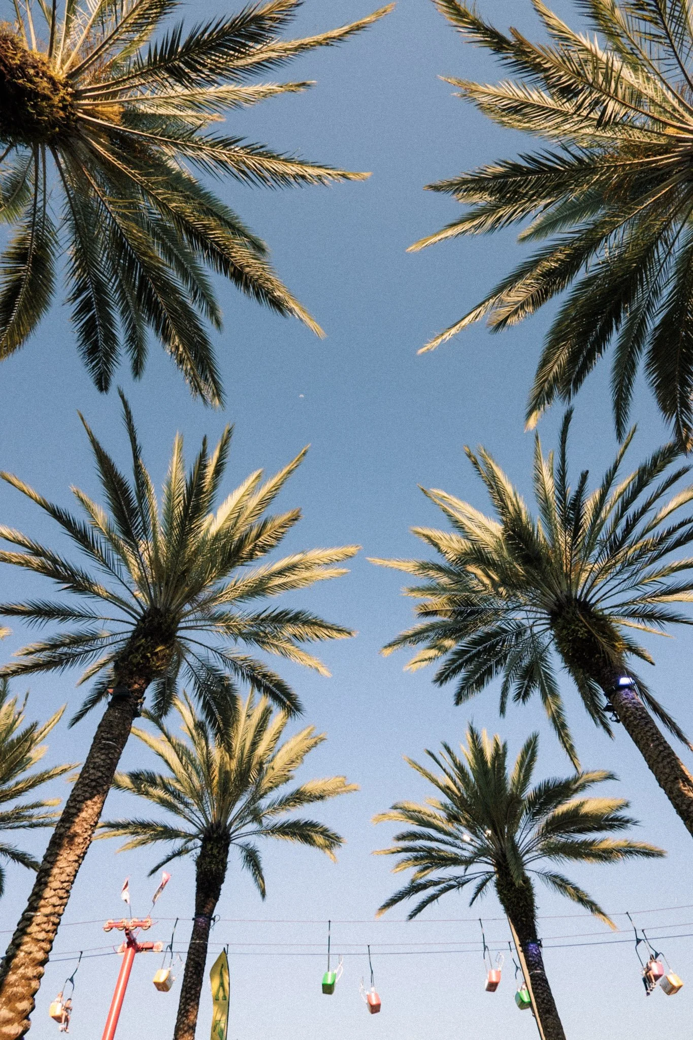 IMG_8424.JPG