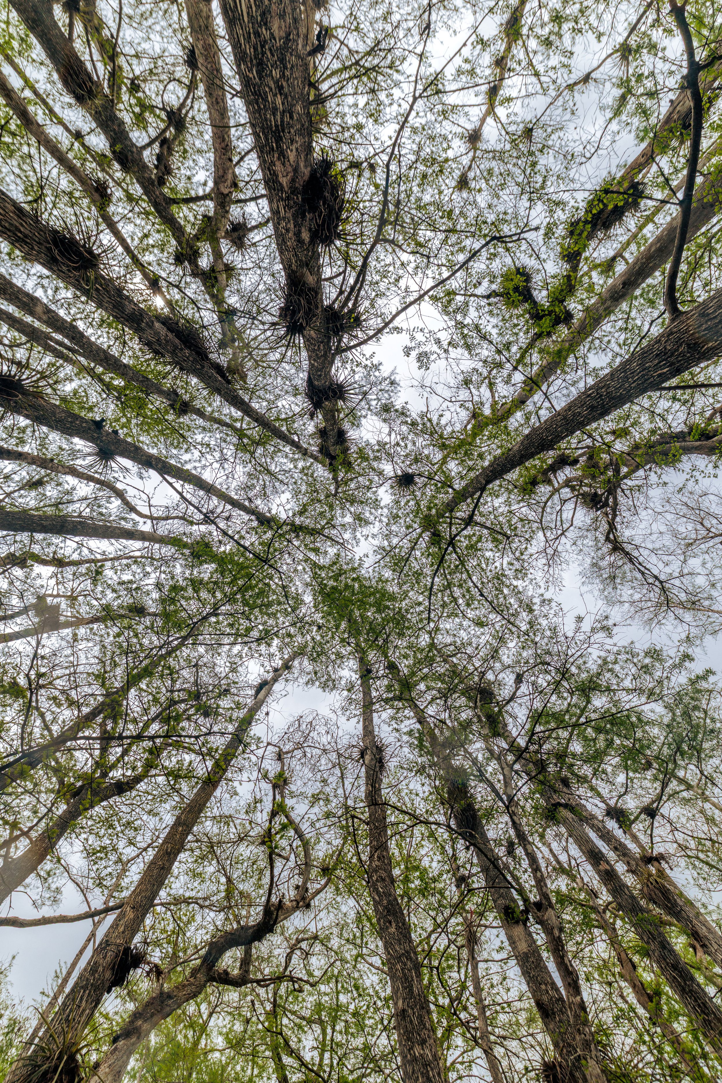 Big-Cypress-0364.jpg