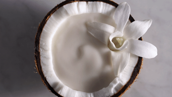 The result? Not only a provocative social campaign but also an art direction to inspire categories beyond yogurt to include dairy-free favorites like almondmilk, creamer, ice cream and cheese.