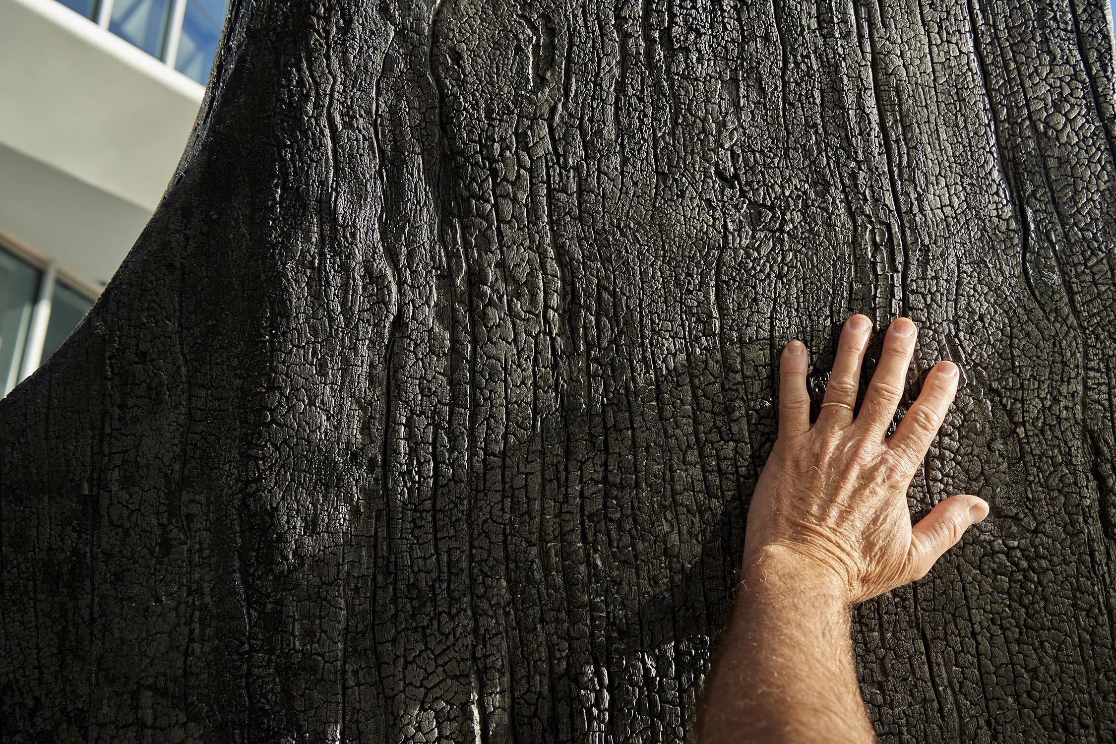  photo: Frances Andrijich 