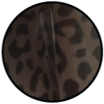 Close-up of transparent smokey leopard latex