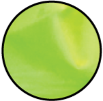 Close-up of vibrant lime latex