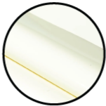 Close-up of white latex