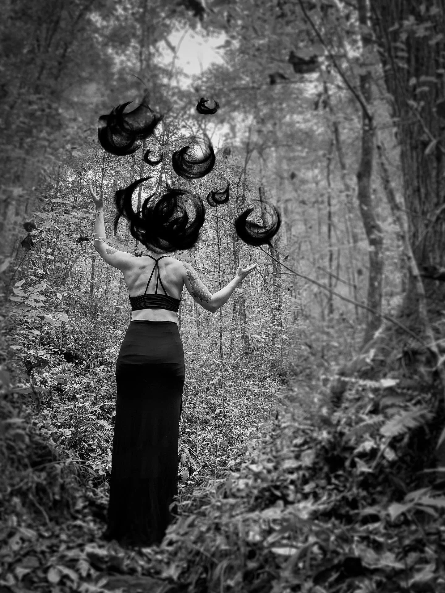 The veil is getting thin 🖤
*
*
*
#nashvillecircus #nashvilleart #nashvilledance #nashvillehalloween #suspendedgravitycircus