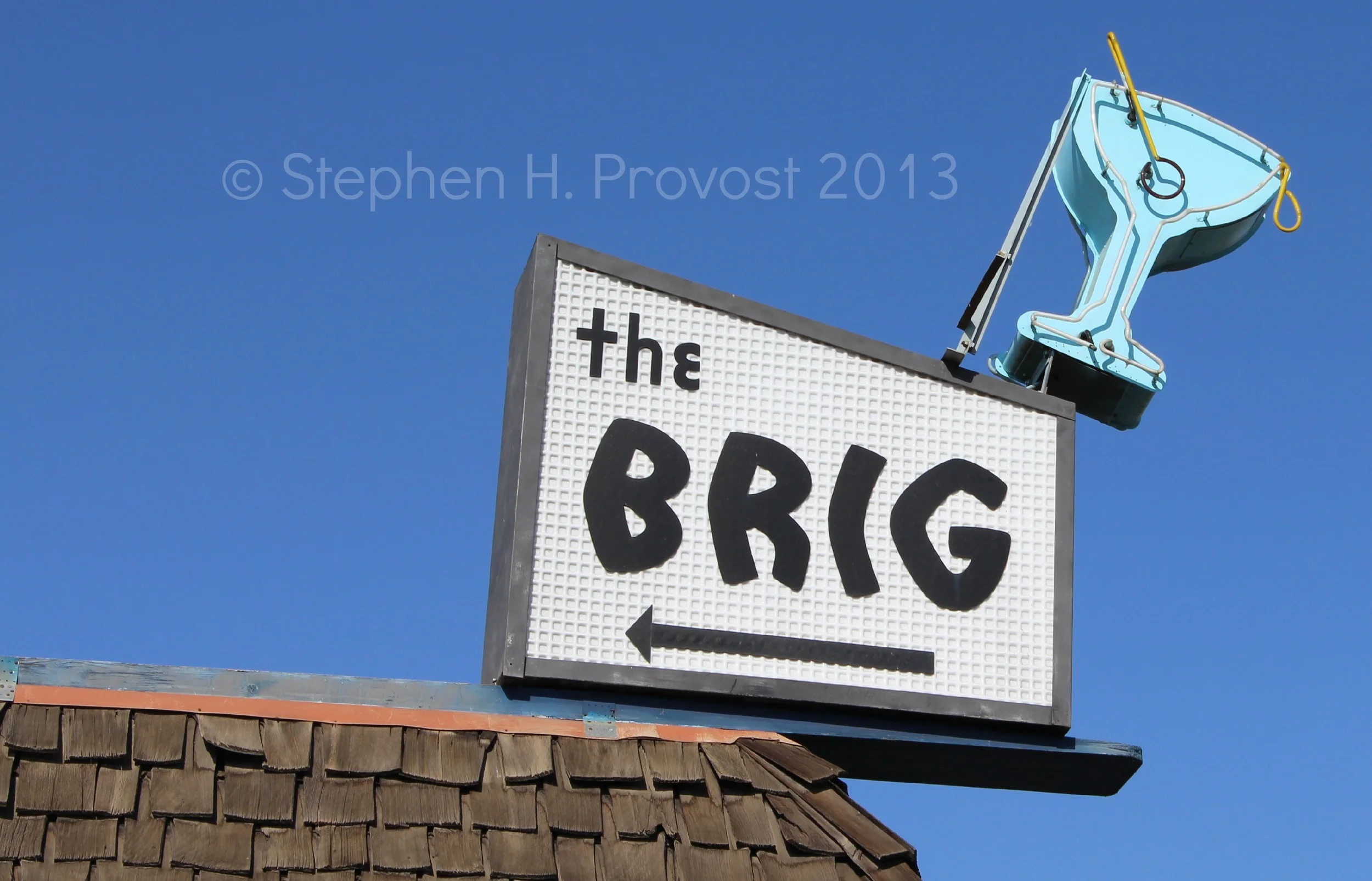 A Flock of Seagulls Walks Into a Bar (Or, Why Twitter Doesn't Fly for Me)