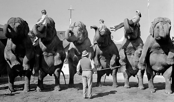 Trump's sideshow: Smoke, mirrors, pomp and circus tents