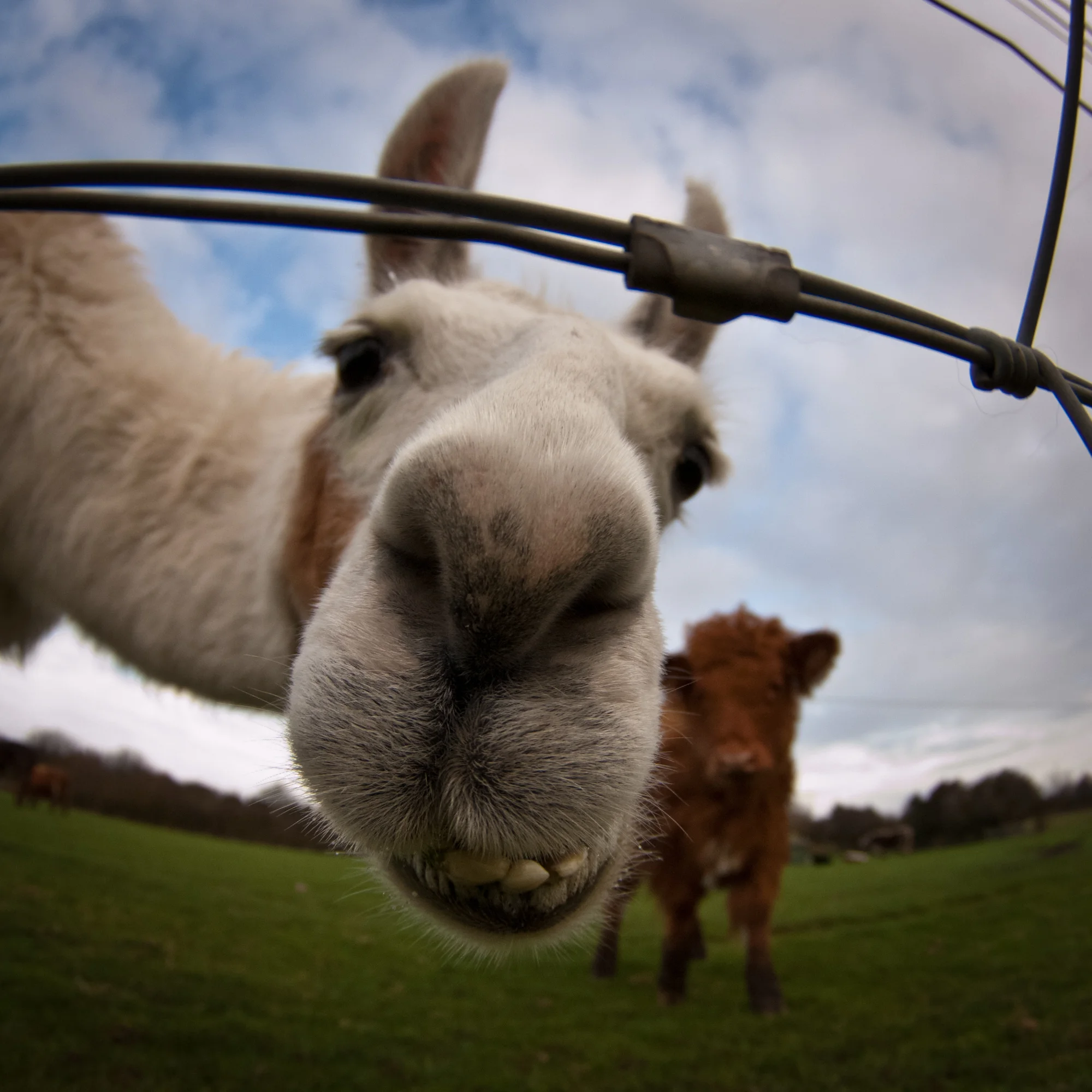 Don't ask a new friend to like your Facebook page