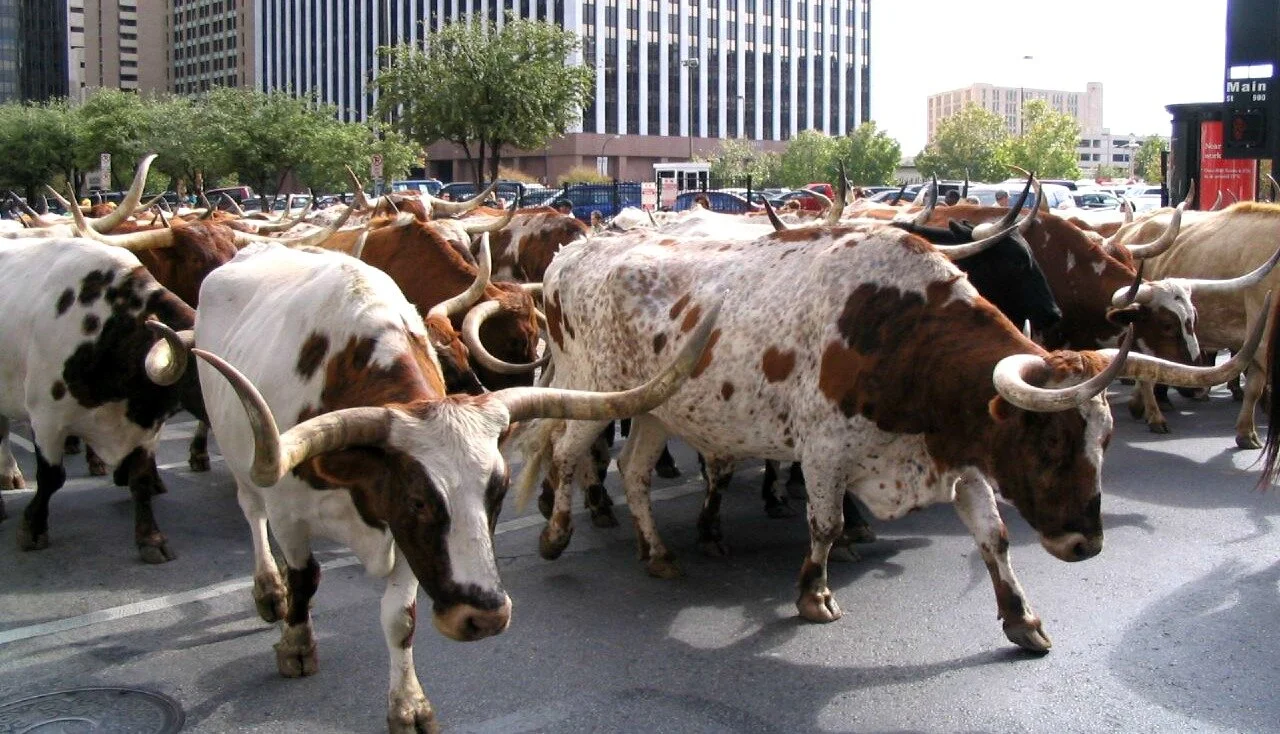 "Herd immunity": Media complicity in political brainwashing