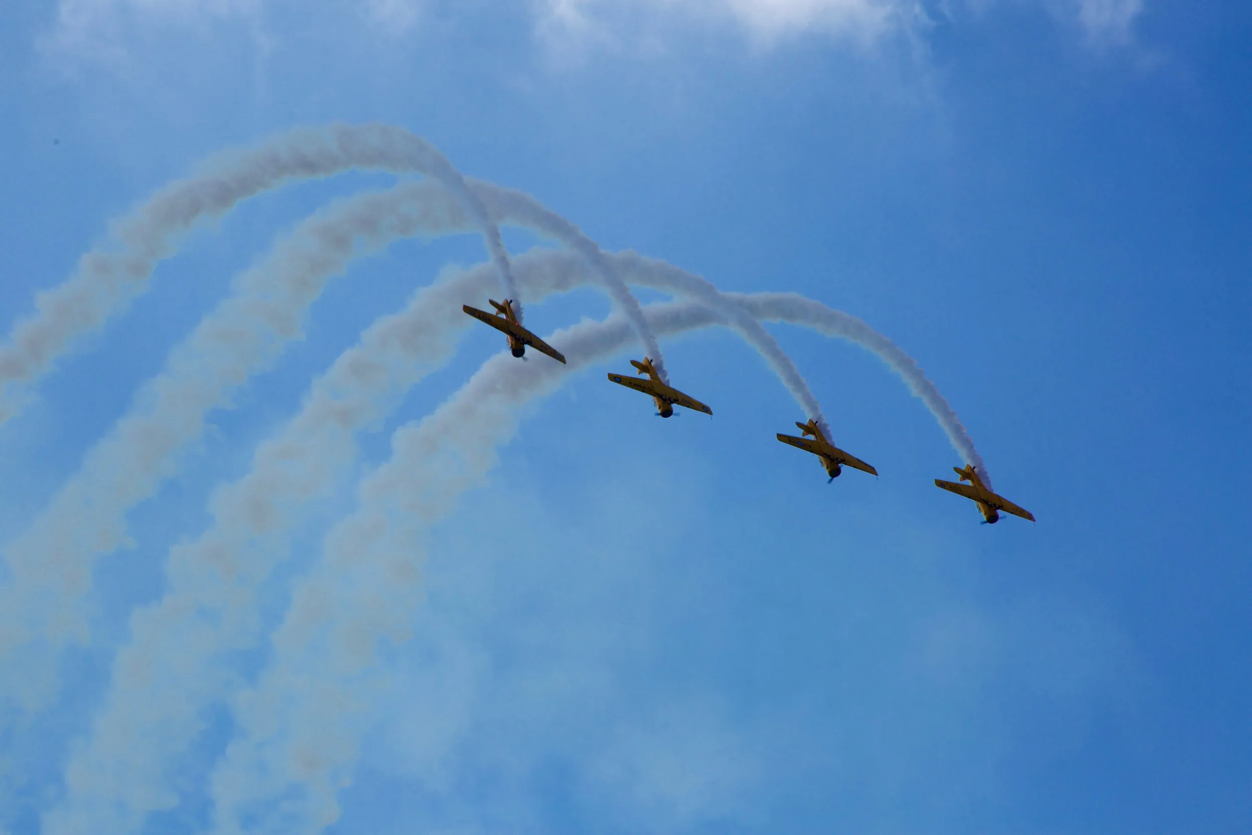 GO5A0458.jpg
