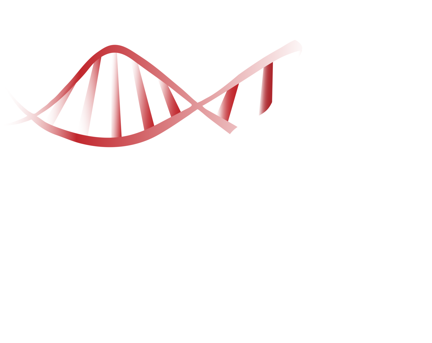 THE PLATFORM
