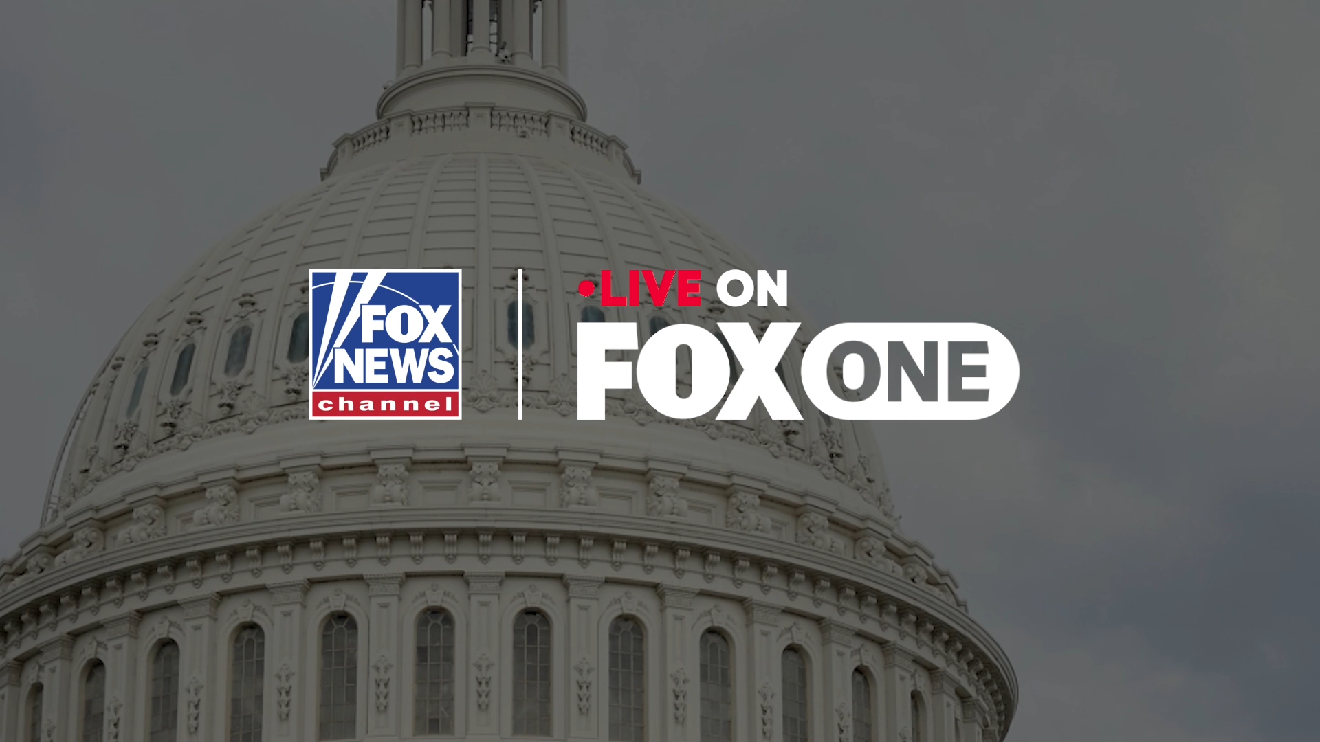 FOX News Live on FOX One