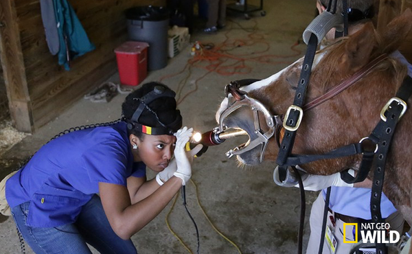 Photo by: Lisa Tanzer/National Geographic
