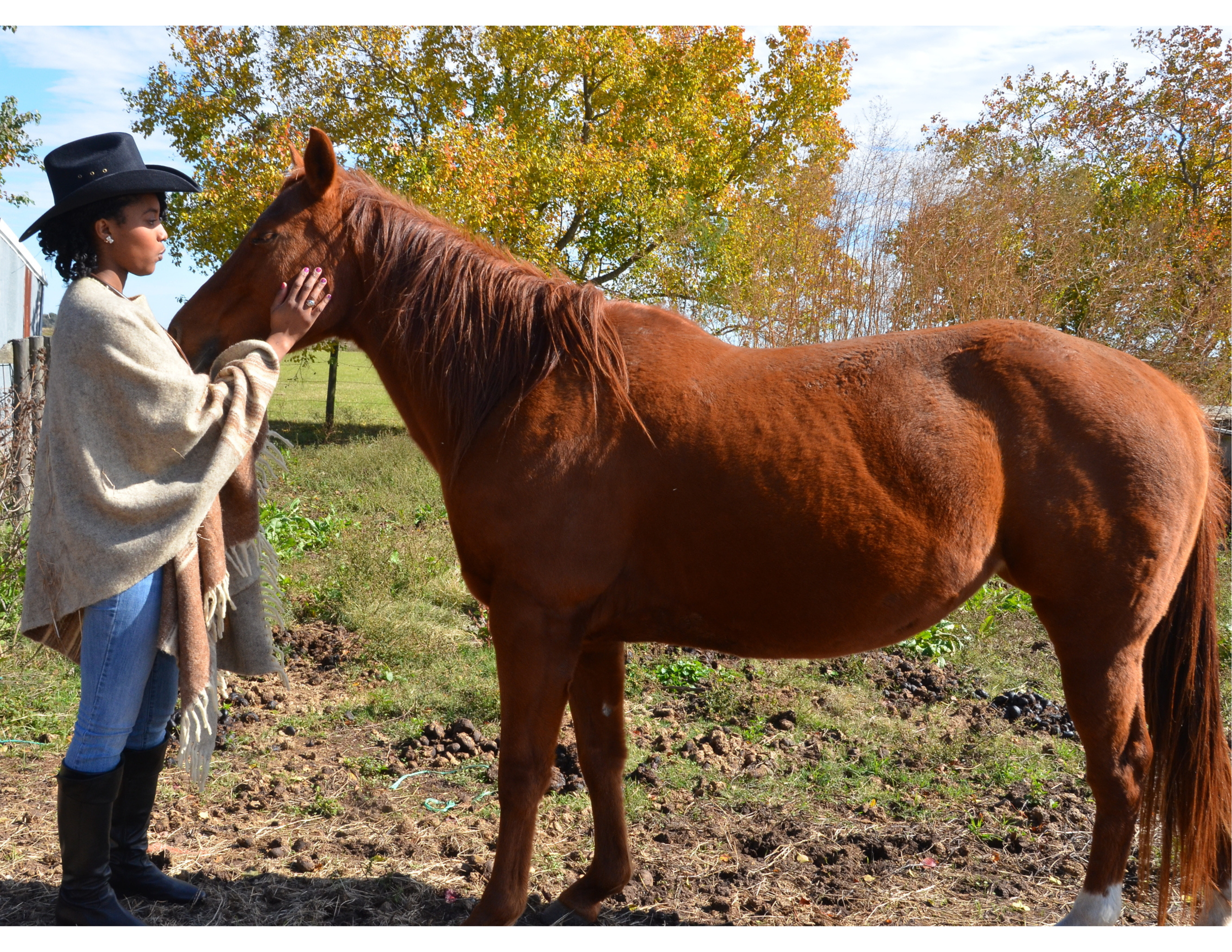 dr aziza and a horse.jpg