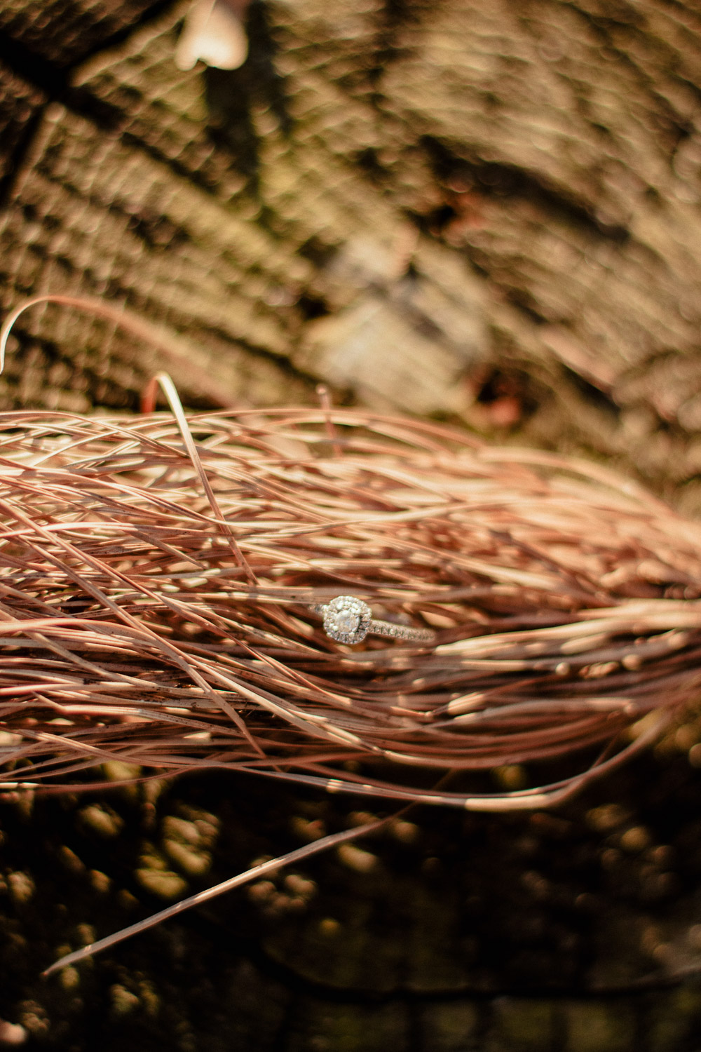 Engagement-Photographer-Beaufort-North-Carolina-7.jpg