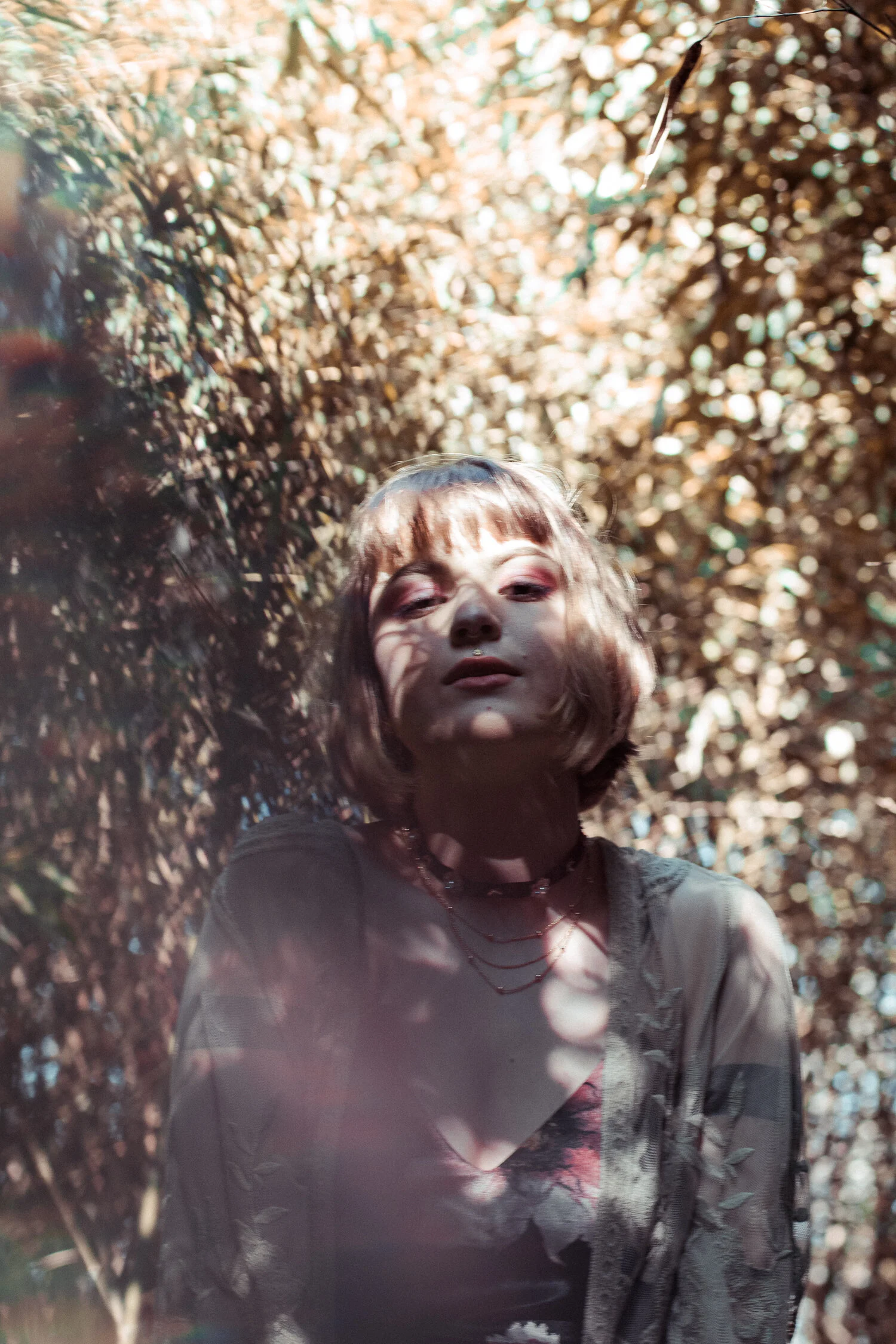 Olivia - Beyond the Gold Kissed Cane