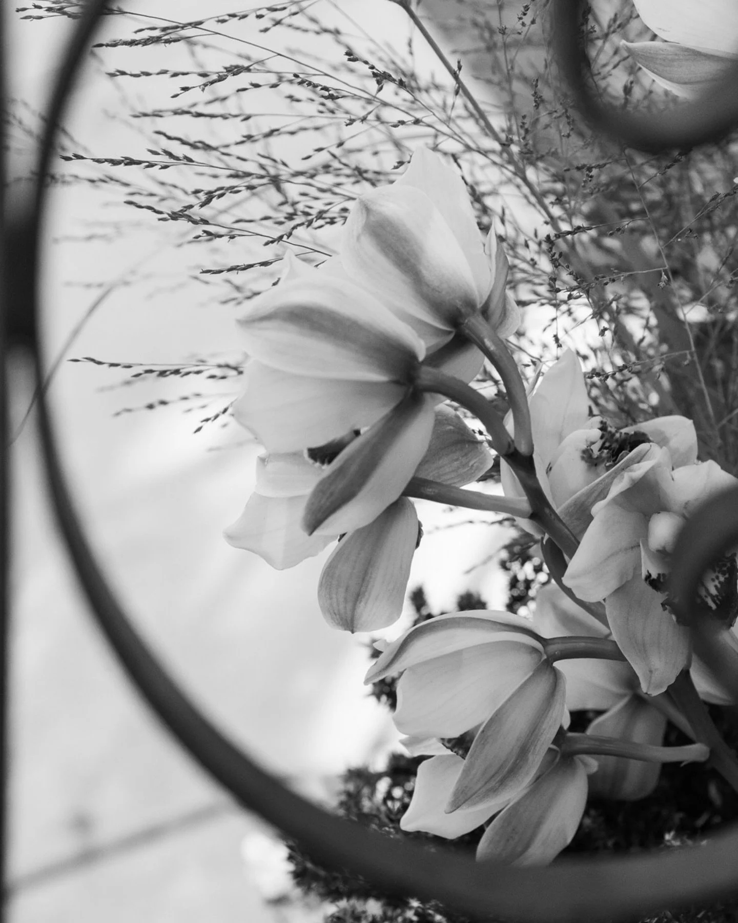 A few still life frames found within a wedding day spent at The Bluffs. 
.
.
.
wedding detail shots, indianapolis wedding photography, film photographer, Indiana wedding venues, the bluffs at connor prairie, 2026 brides
