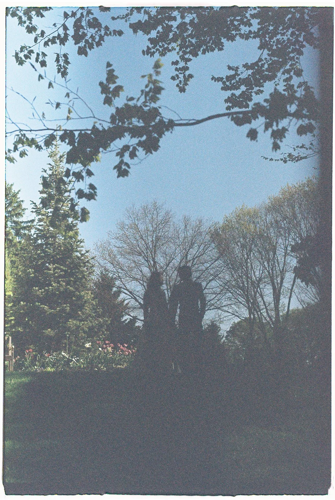 film-engagement-session-newfields-indianapolis-20.jpg