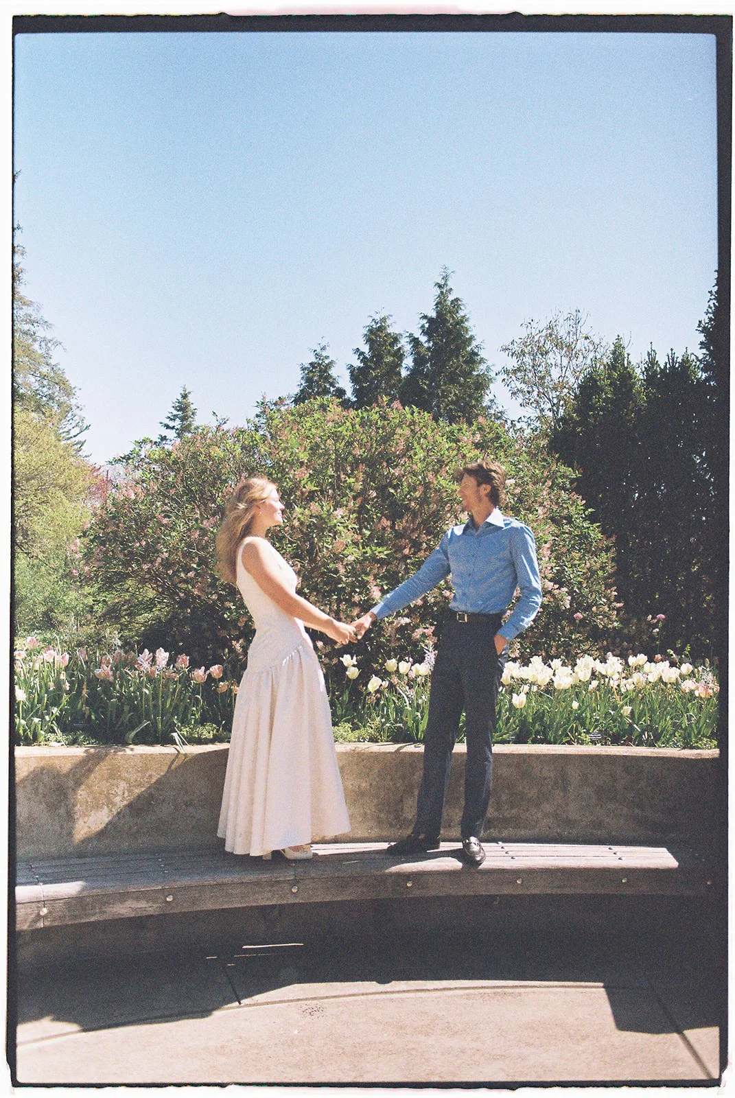 newfields-indianapolis-engaement-garden-film-photos-11.jpg