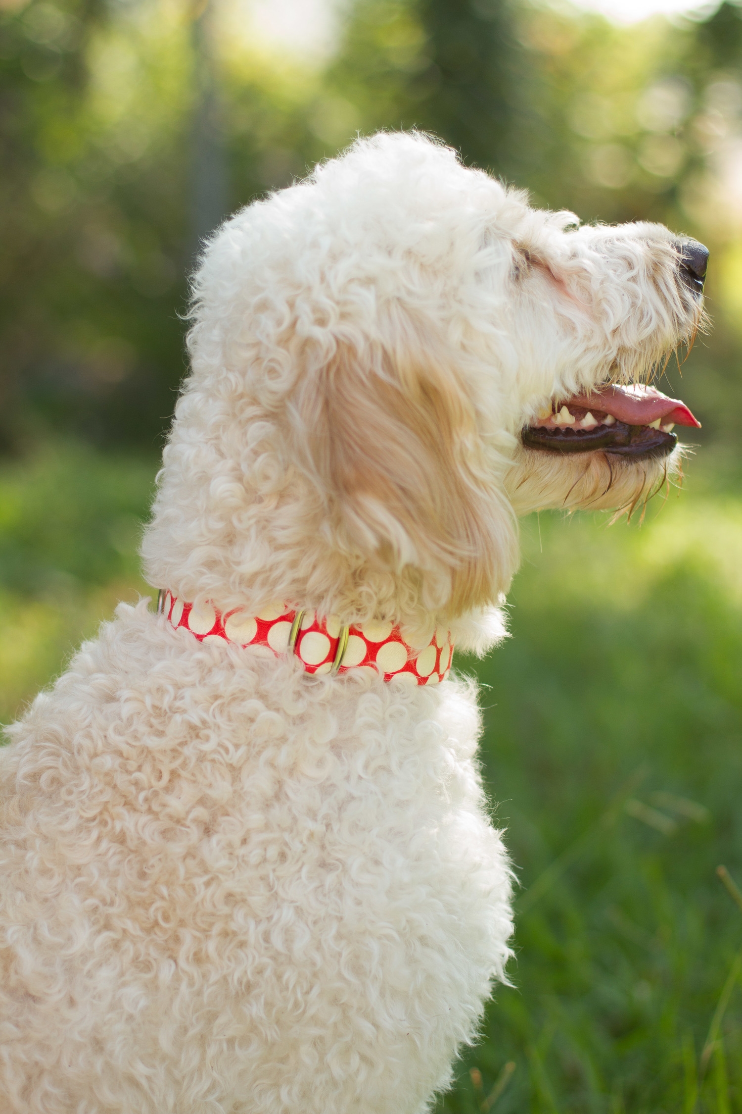 The Delilah Collar