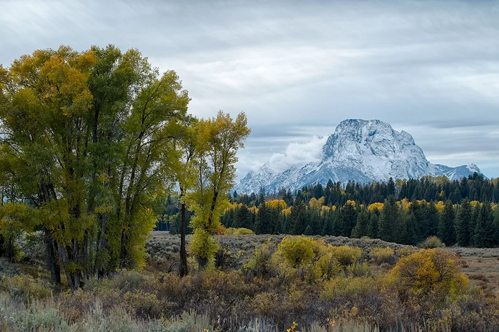 Grand Teton near Moran Junction
