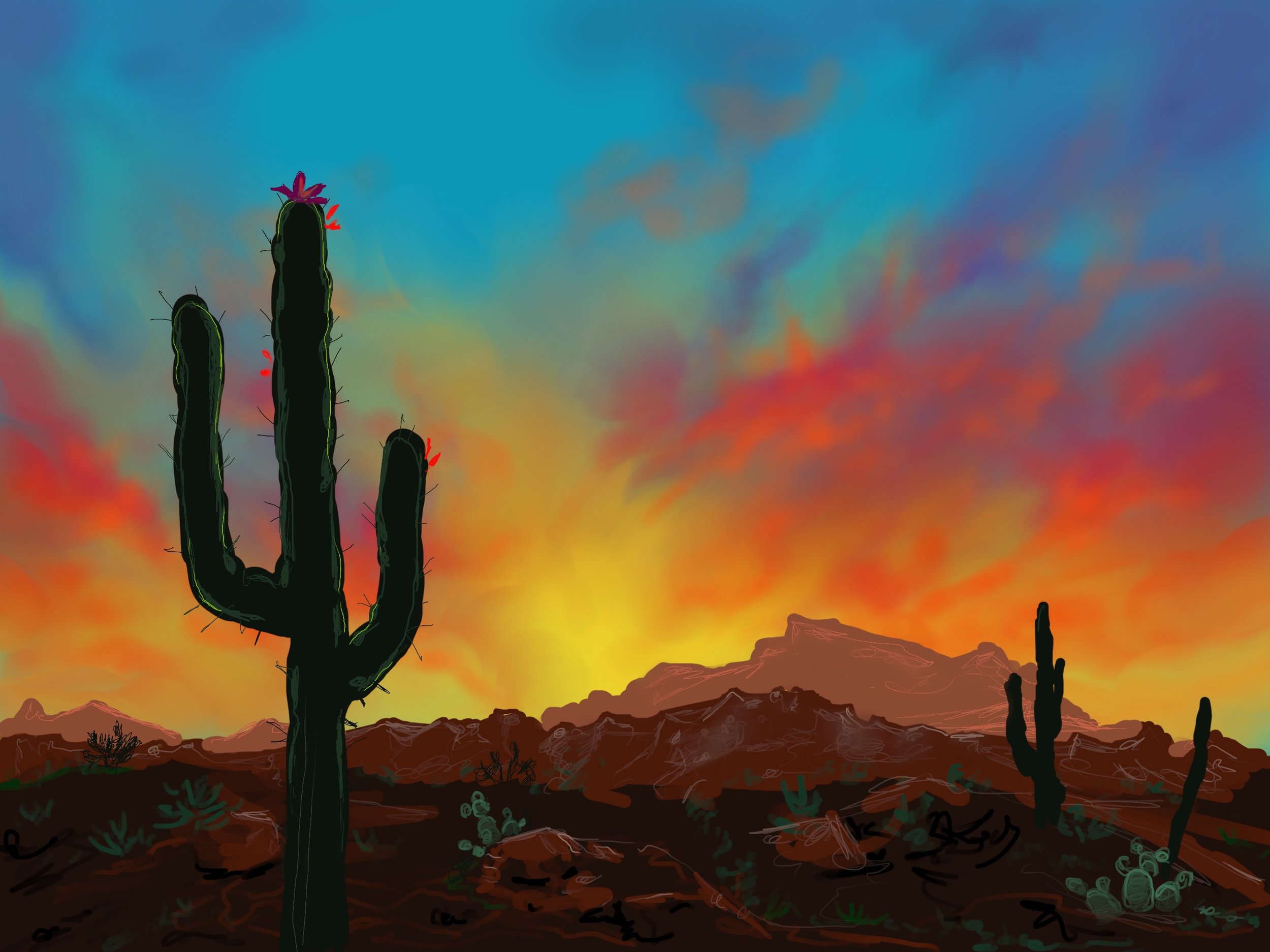Desert Sunset