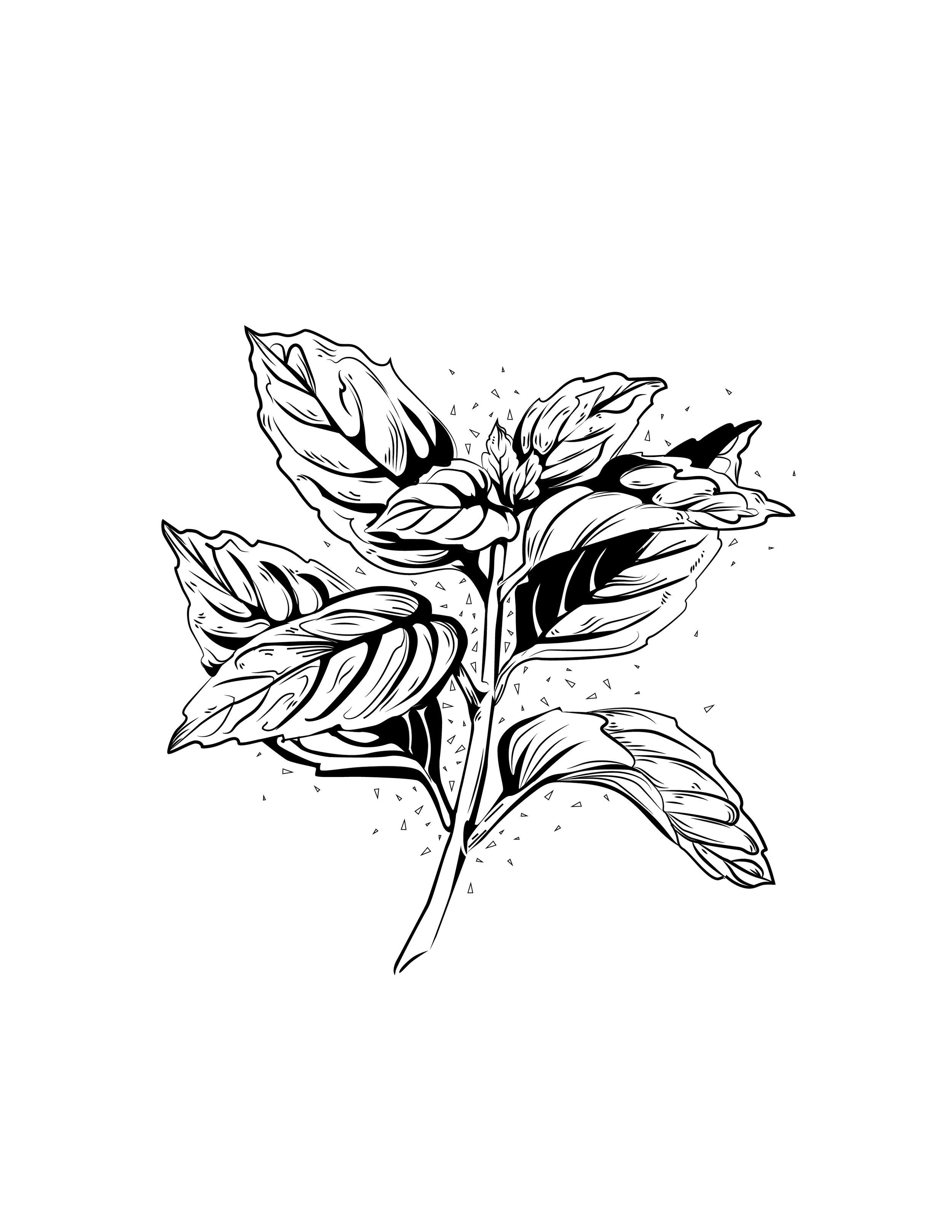 Basil-background.jpg