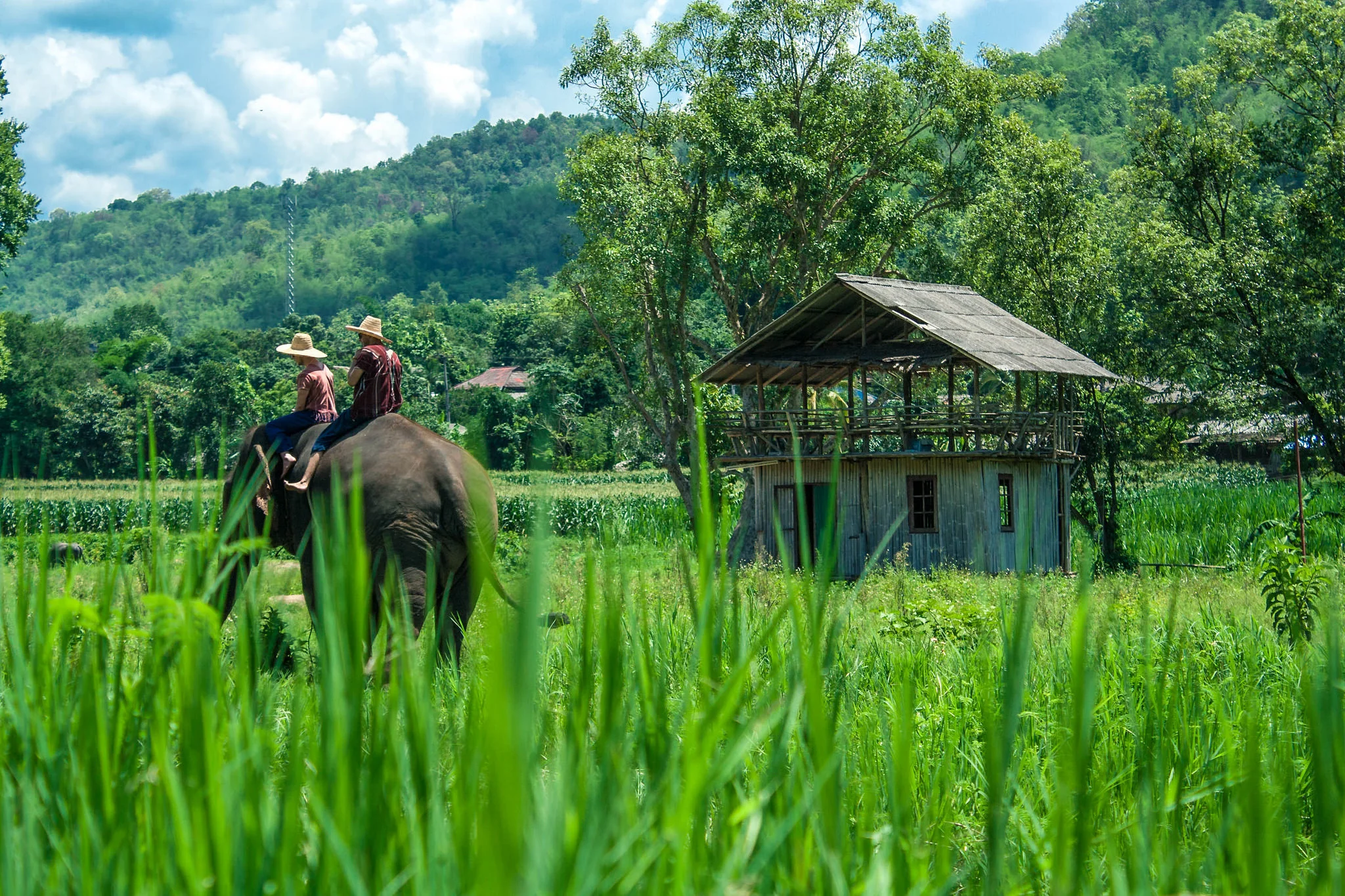Thailand6.jpg
