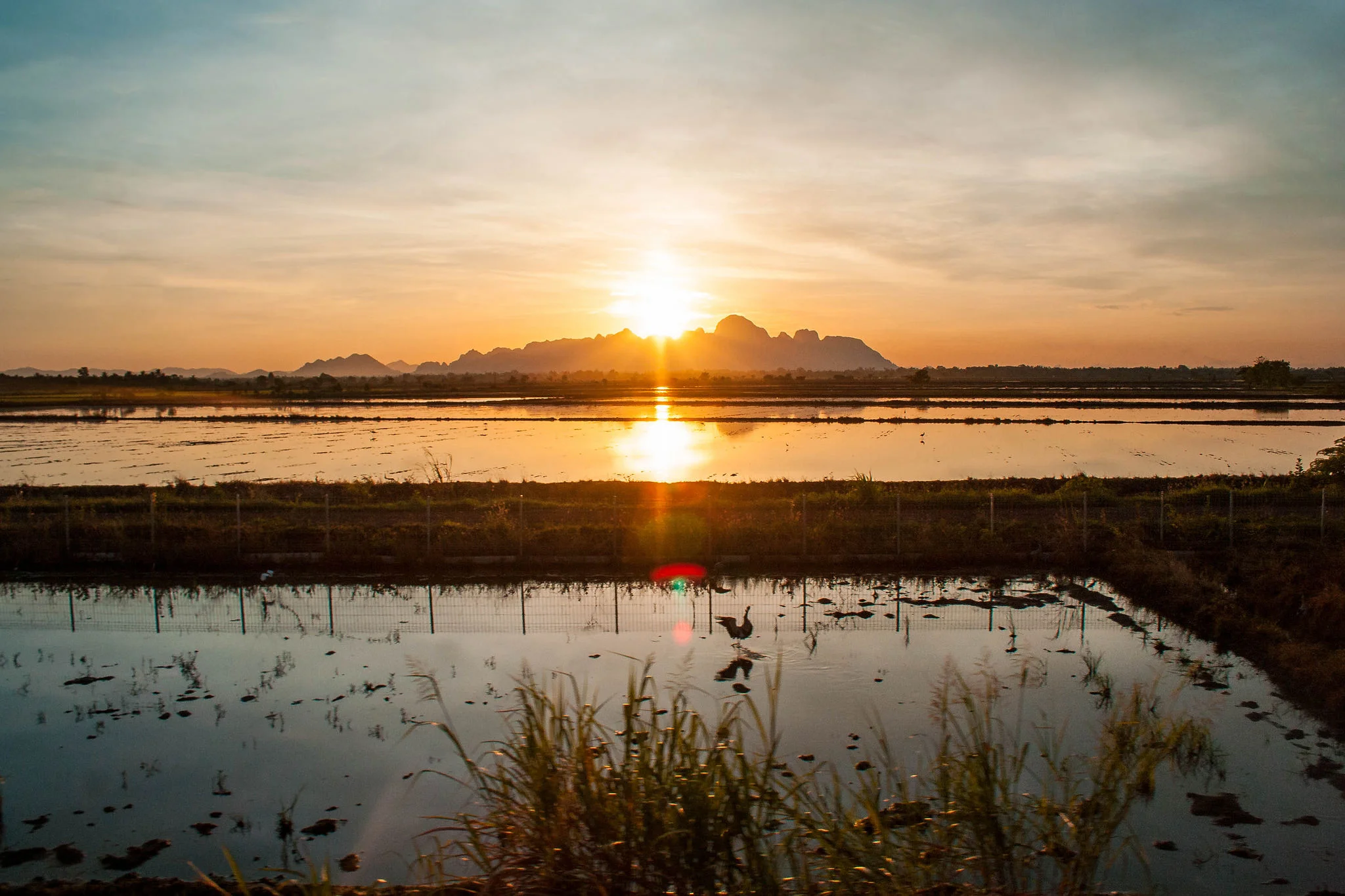 Thailand9.jpg
