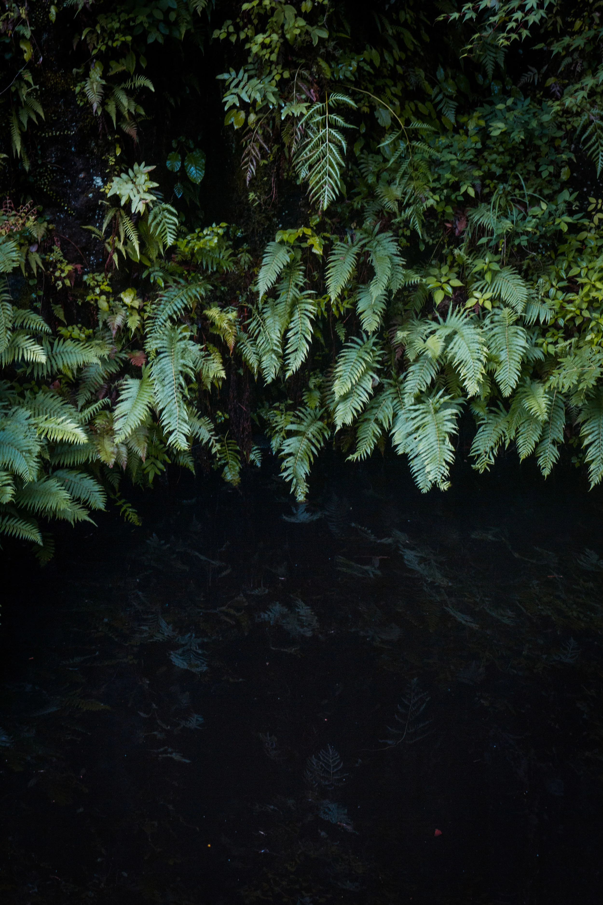 Takachiho_Gorge_3.jpg