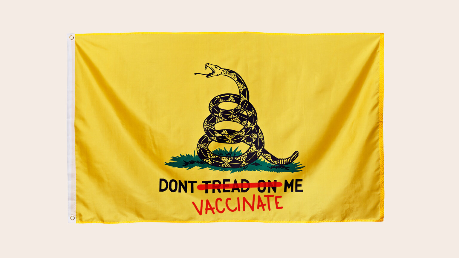 antivax-rightwing_2000.jpeg