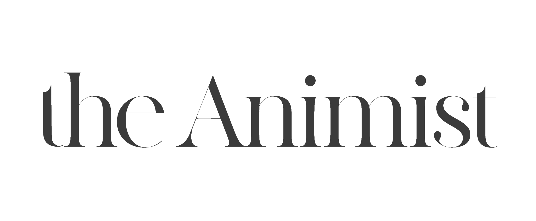 The Animist - Charlotte Video Production &amp; Animation Studio