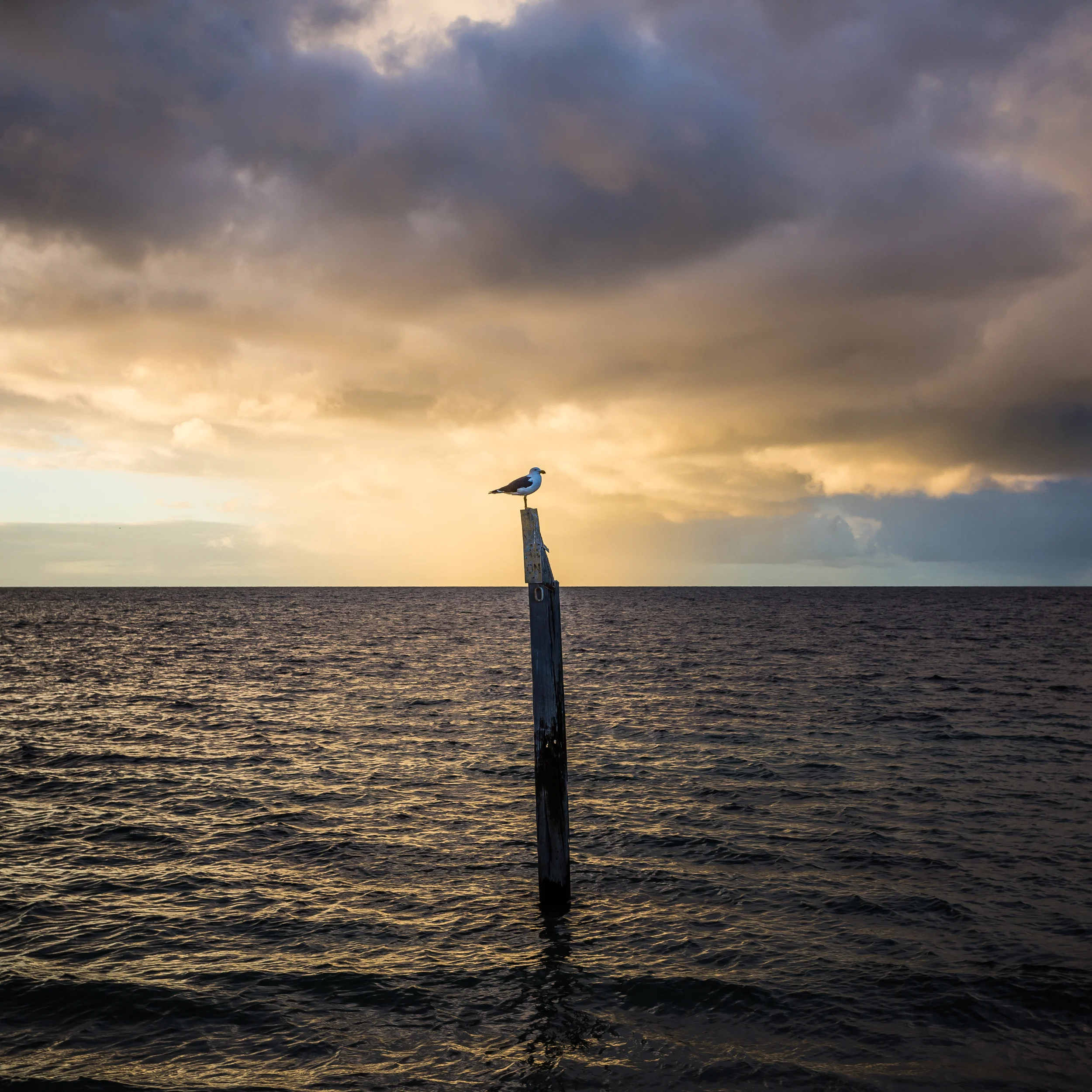 Shack Sunrise 23.jpg