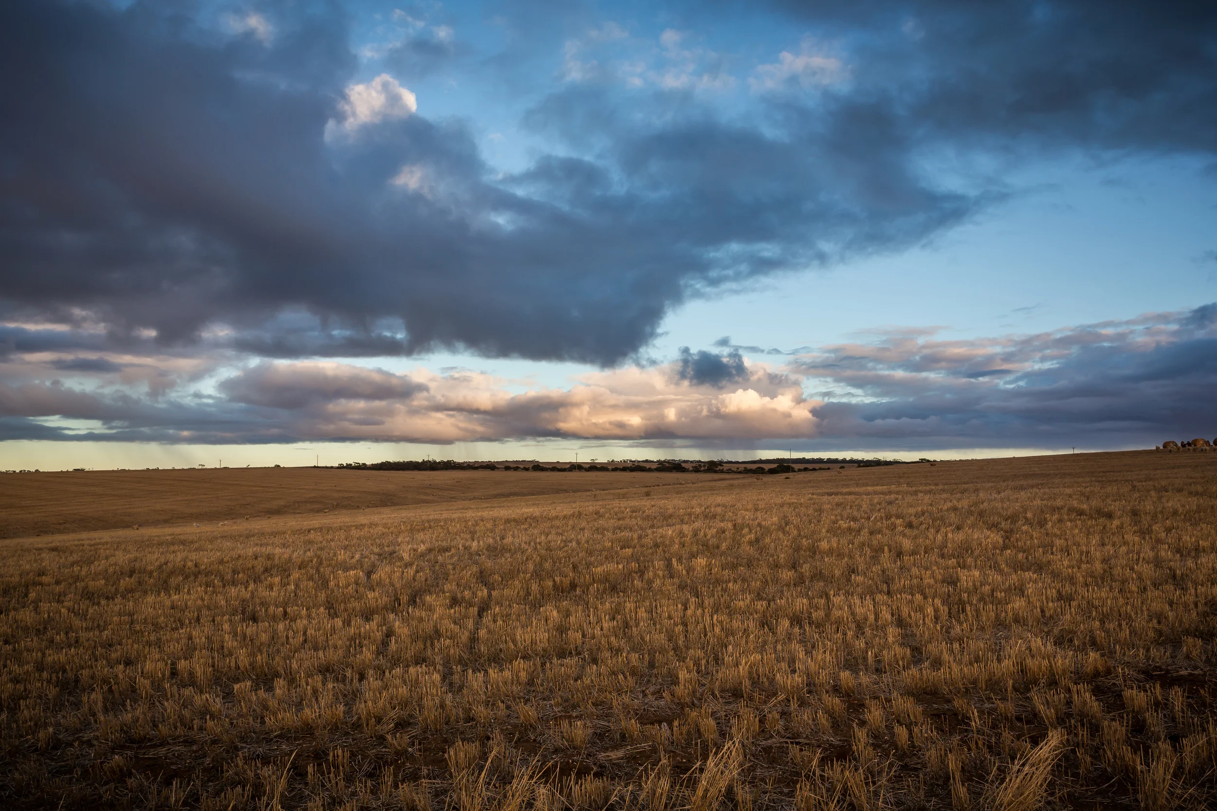 Shack Sunrise 27.jpg