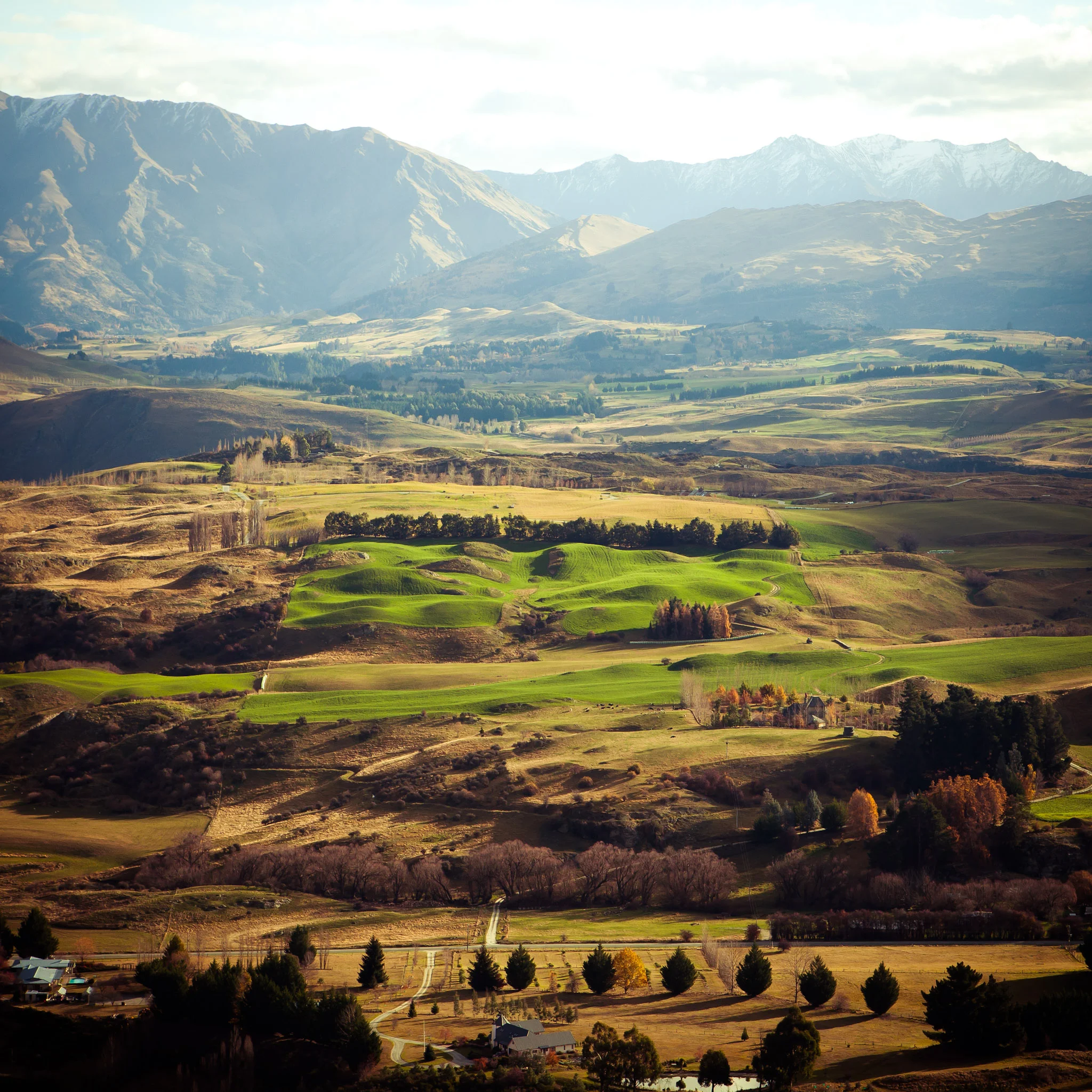 new_zealand_revisited-17.jpg