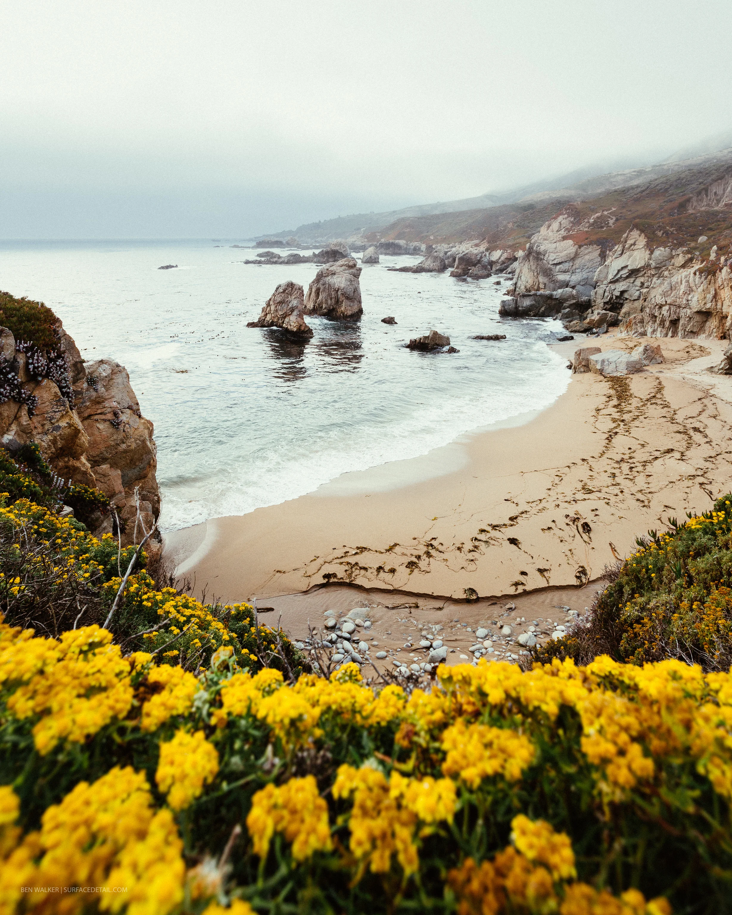 BigSur-11.jpg